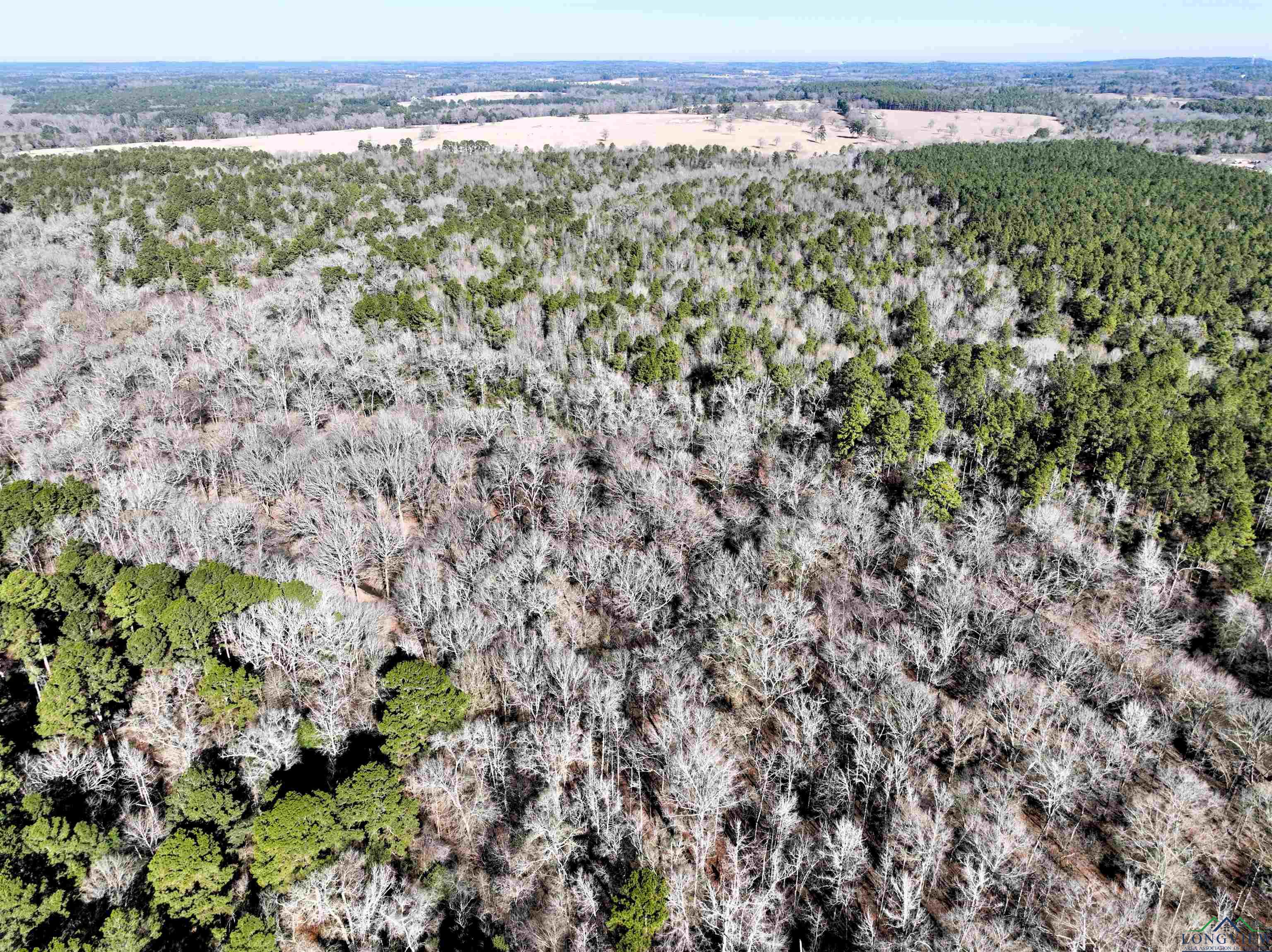 TBD Bamboo Road, Big Sandy, Texas image 11