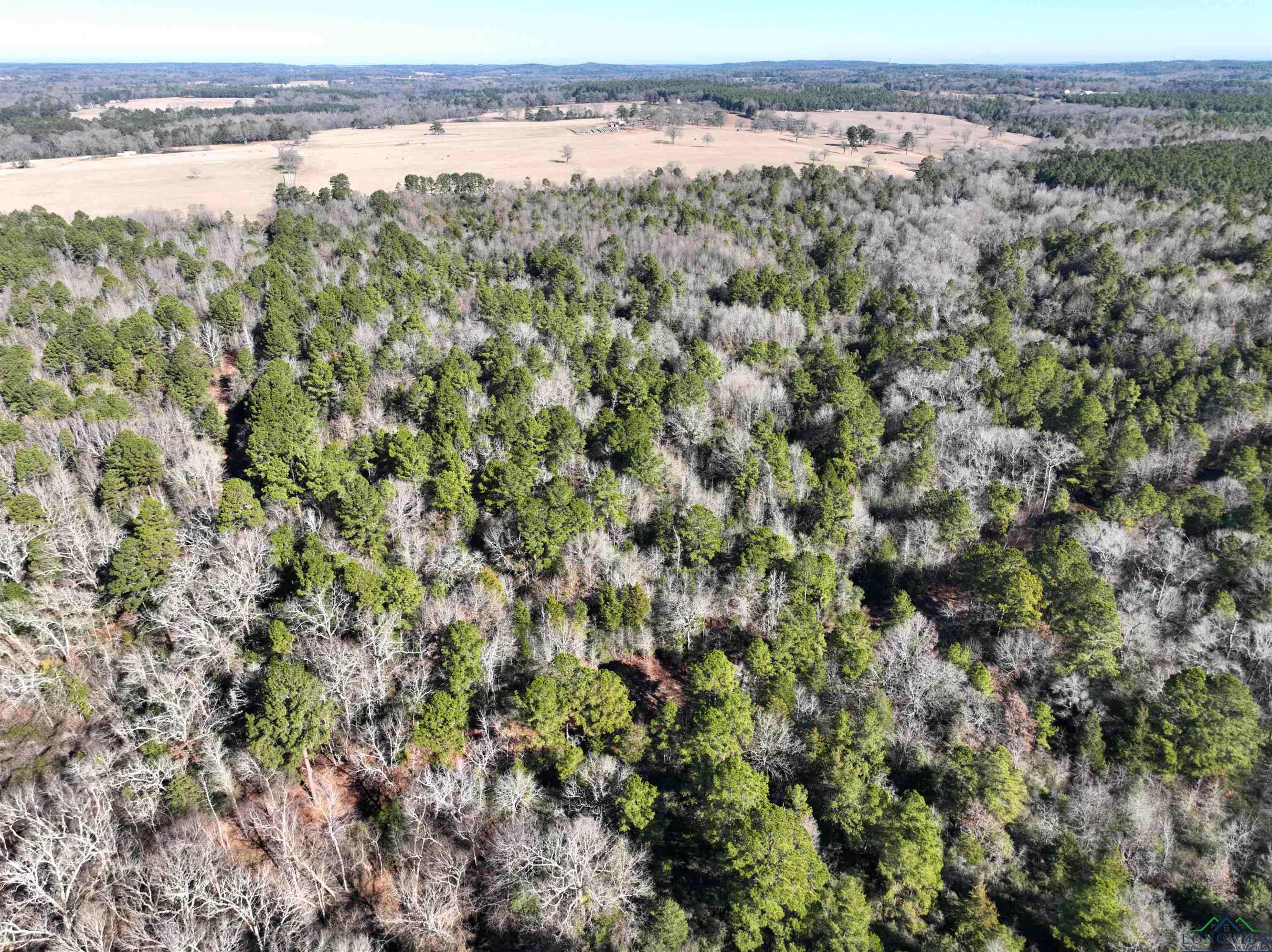 TBD Bamboo Road, Big Sandy, Texas image 14