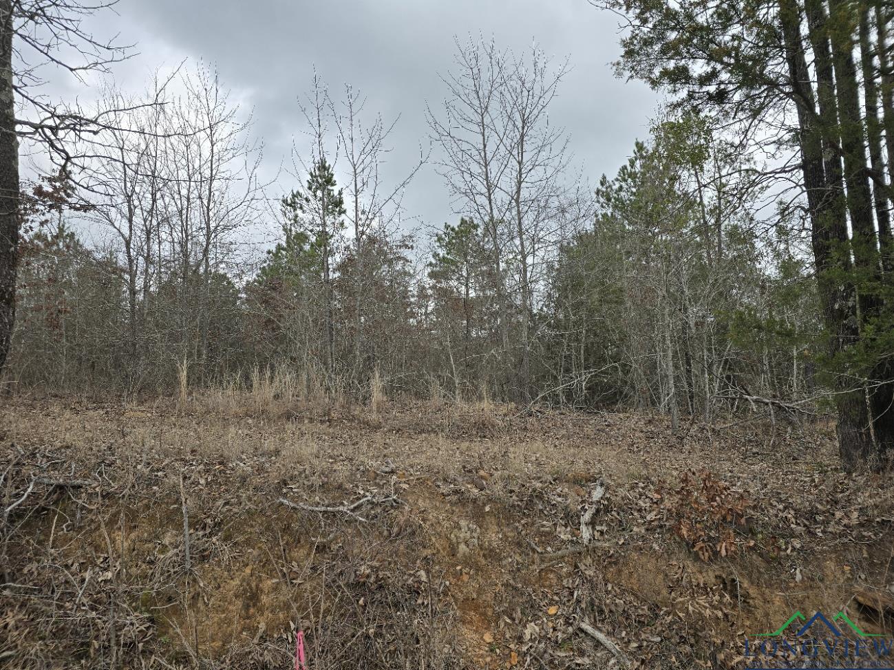 000 County Road 1634, Linden, Texas image 14