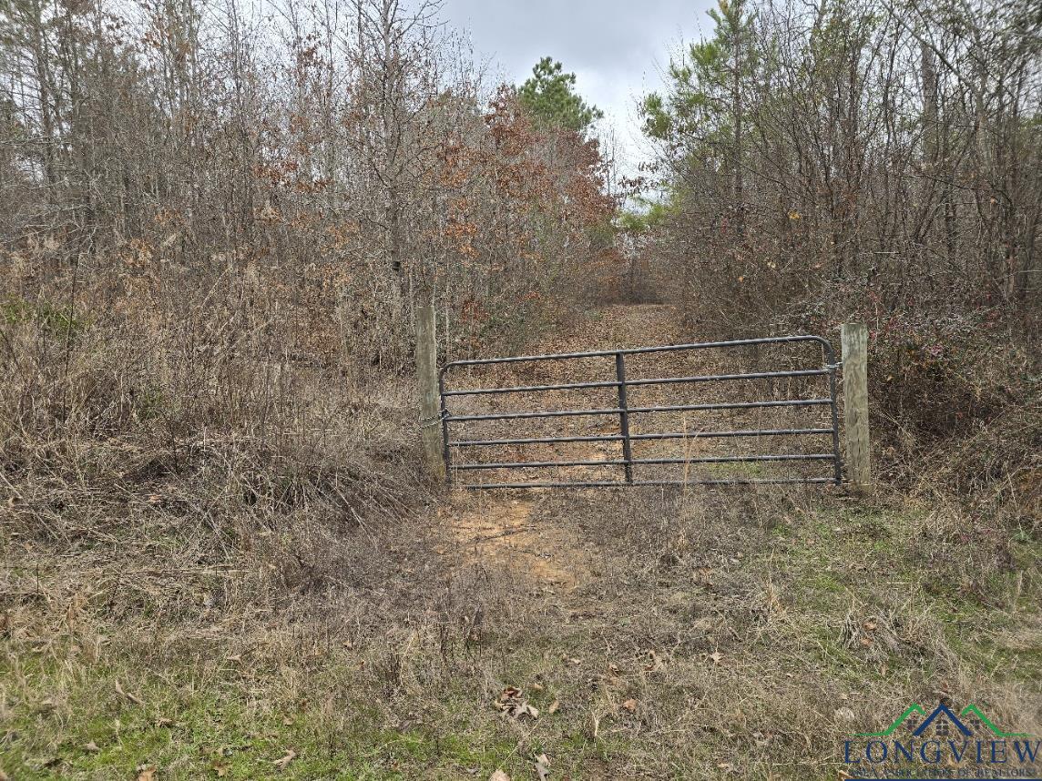 000 County Road 1634, Linden, Texas image 1