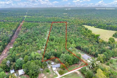Vacant Land For Sale - TBD (8.636 ACR) County Road 152 E<br/> Tyler, TX 75703