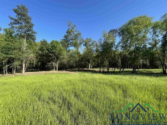 1611 Clarendon St, Longview, Texas image 2