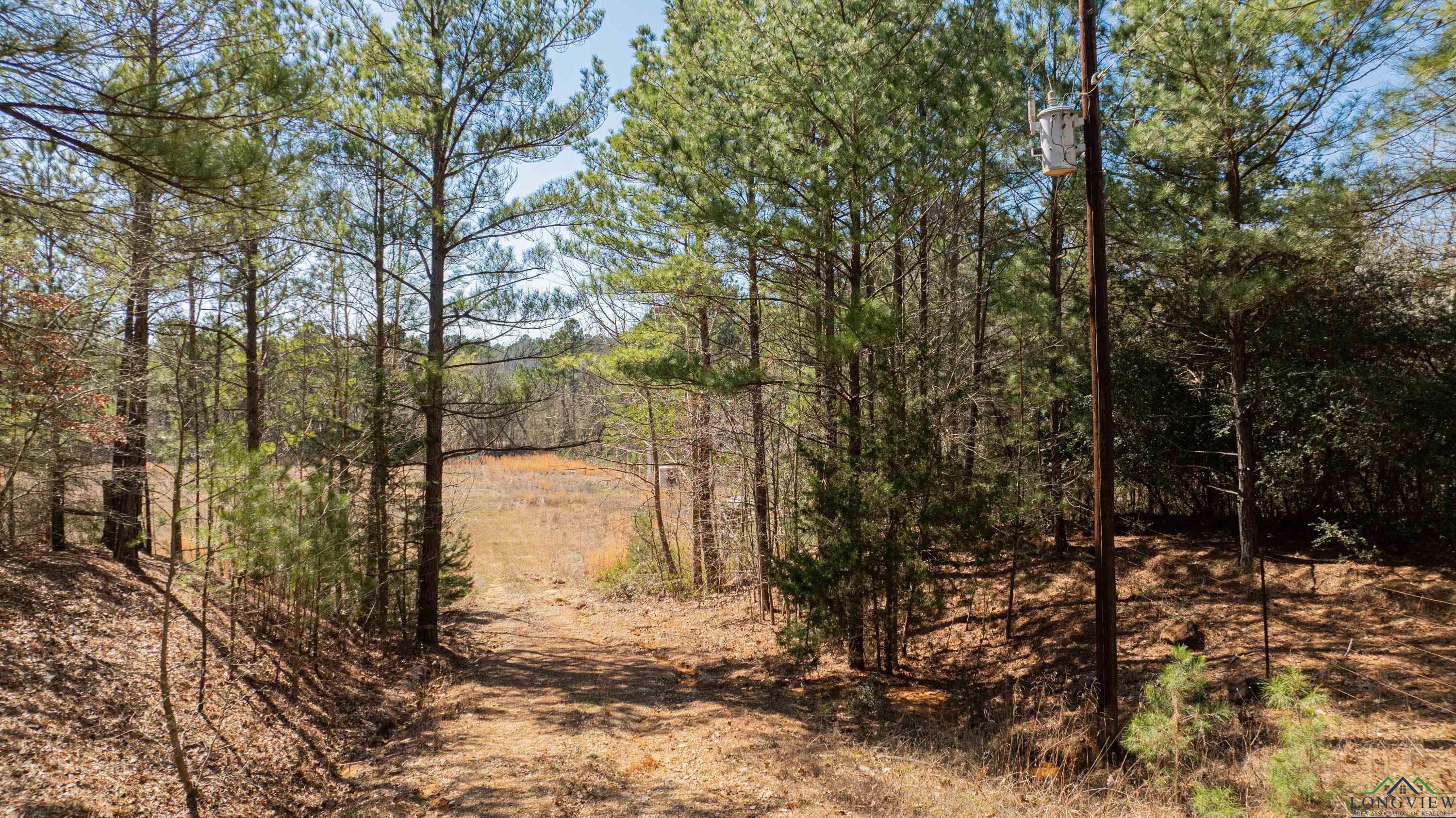 4101 Scrub Pine Rd, Big Sandy, Texas image 31