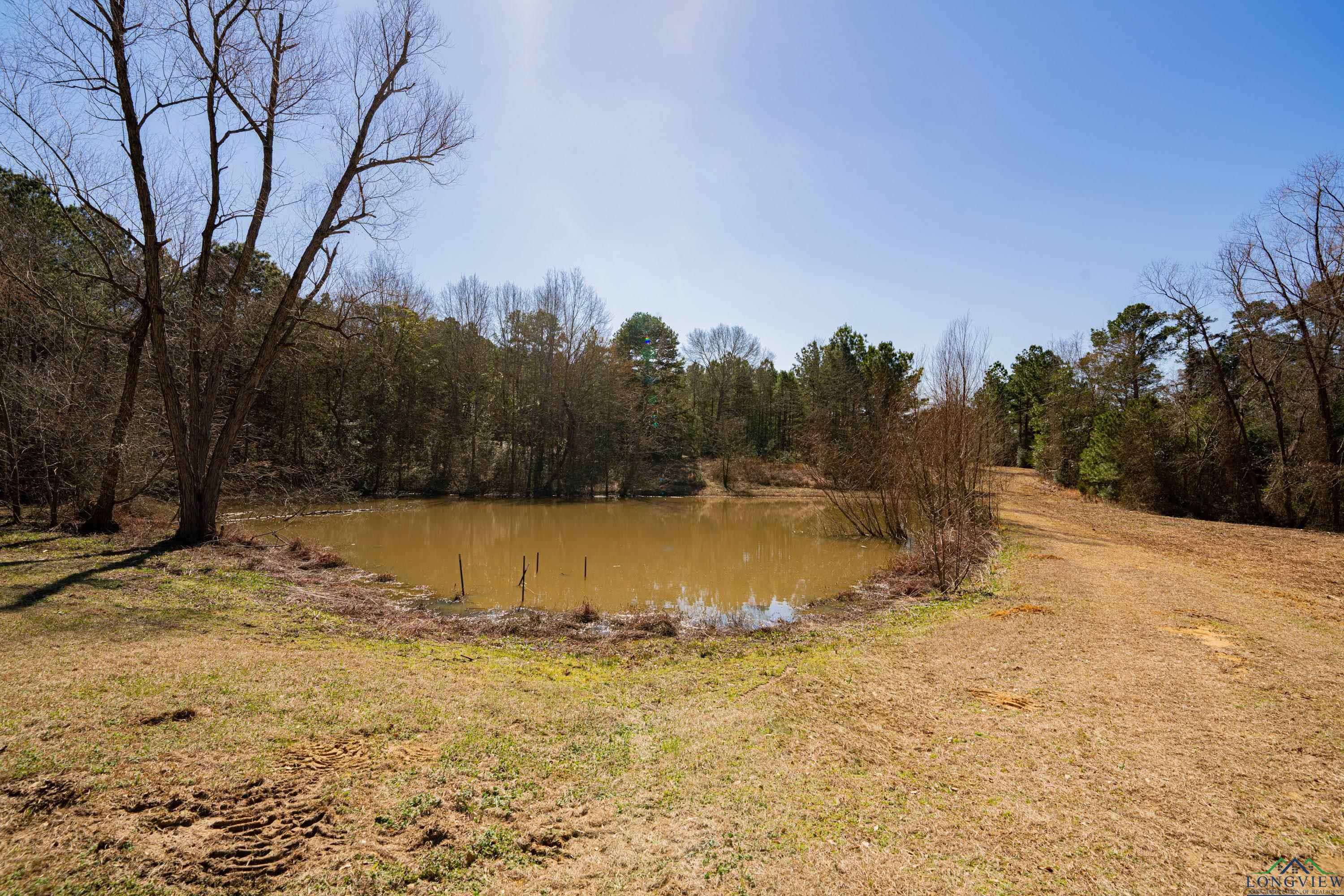 4101 Scrub Pine Rd, Big Sandy, Texas image 17