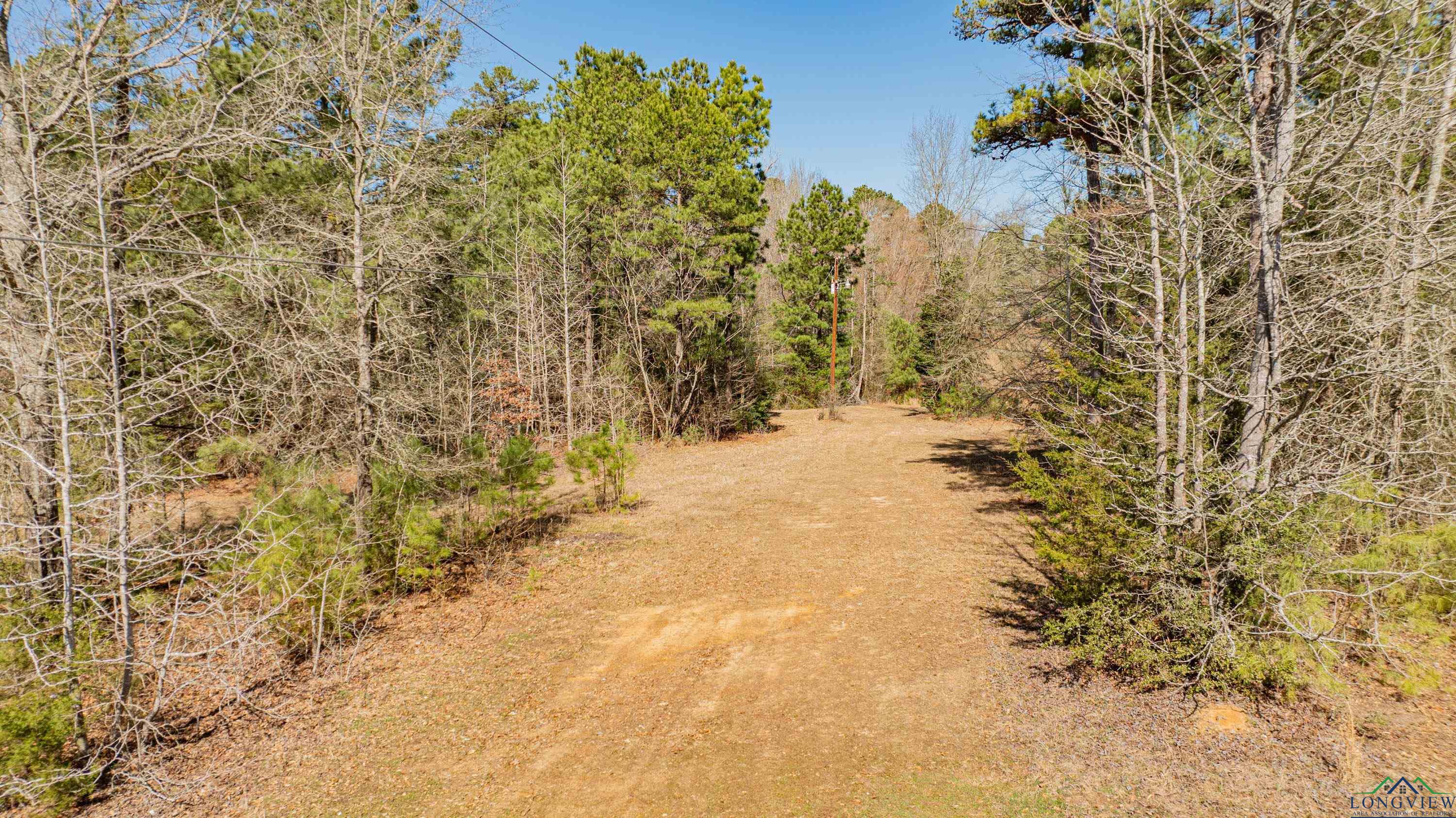 4101 Scrub Pine Rd, Big Sandy, Texas image 34