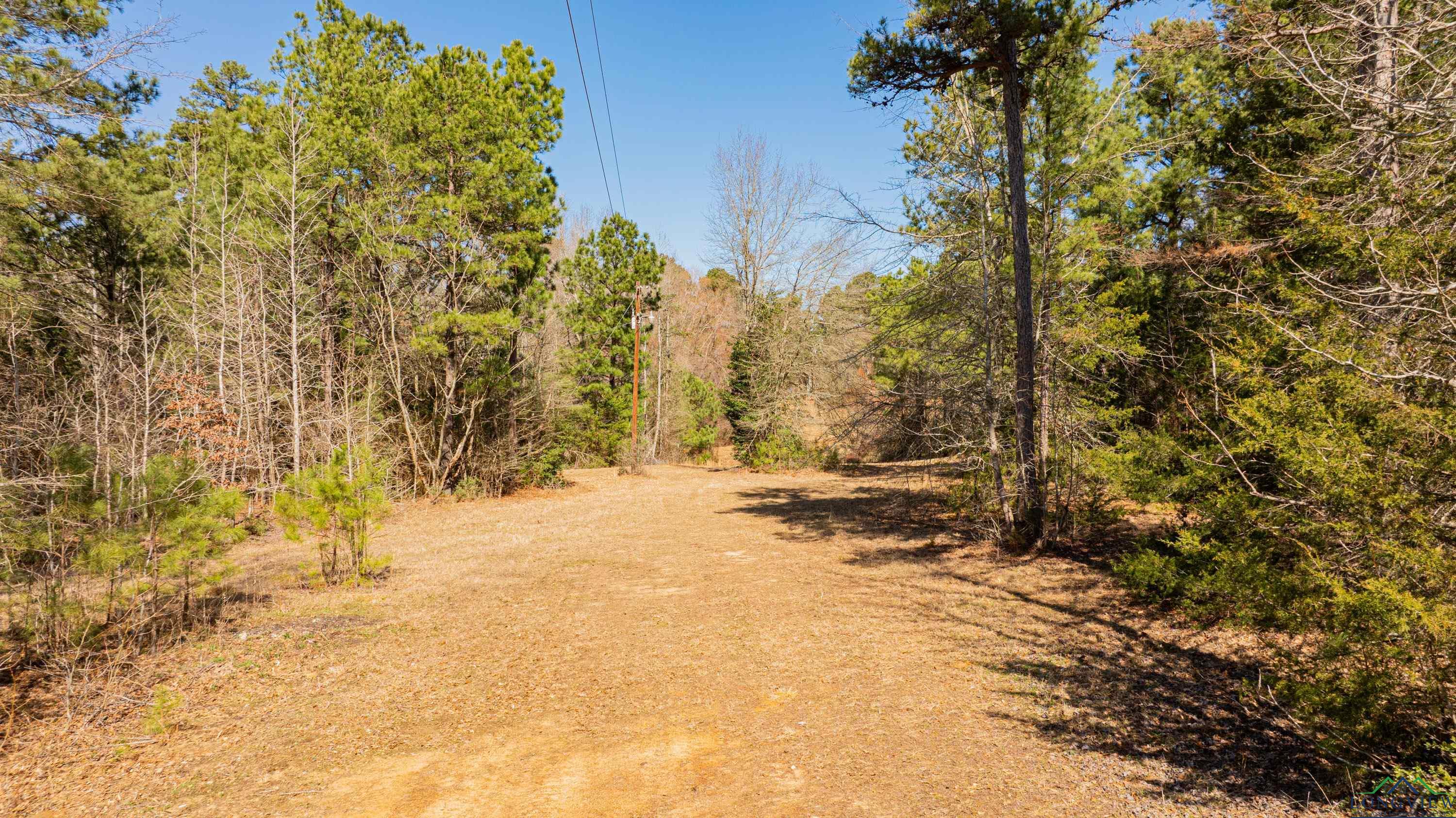 4101 Scrub Pine Rd, Big Sandy, Texas image 28