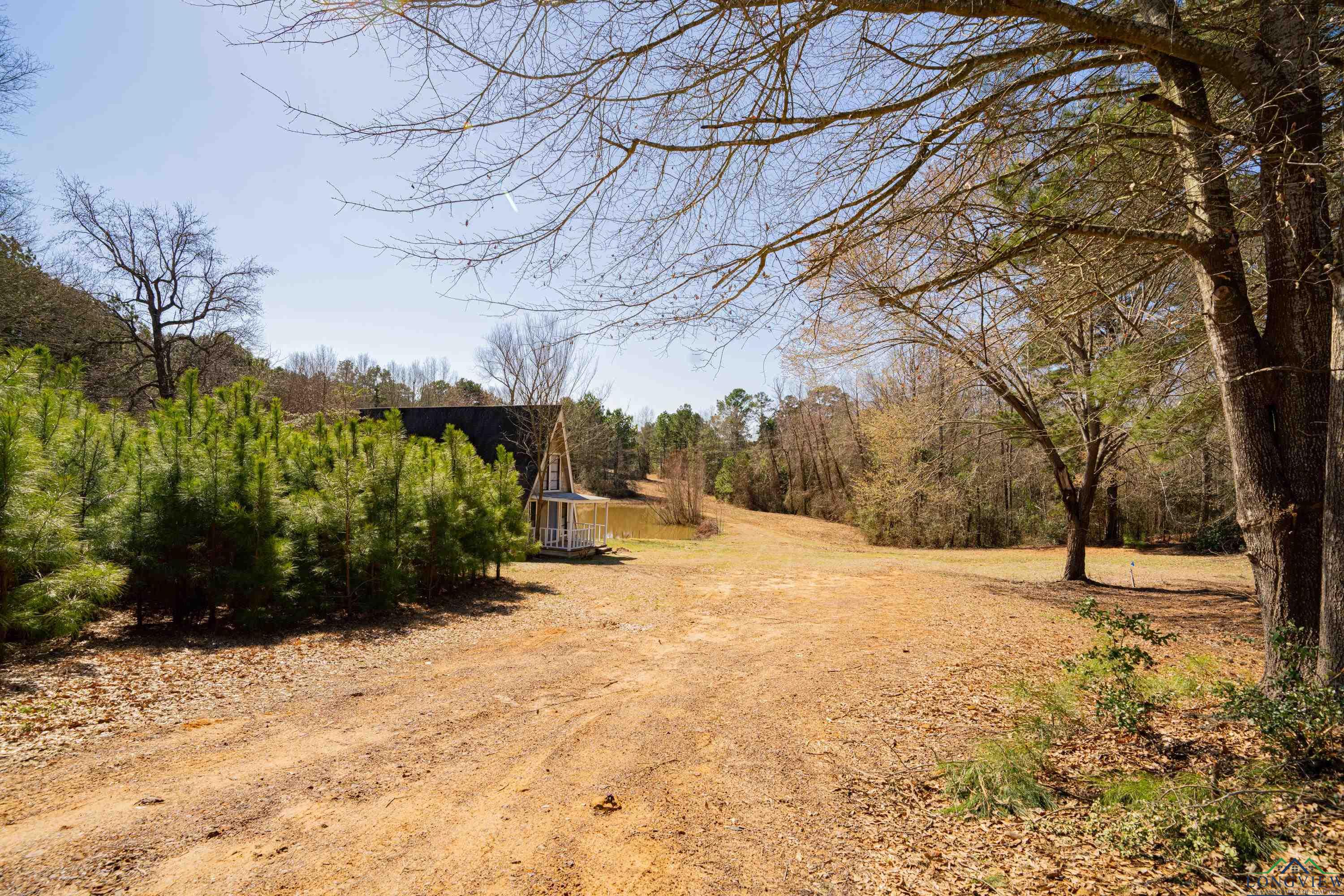 4101 Scrub Pine Rd, Big Sandy, Texas image 20