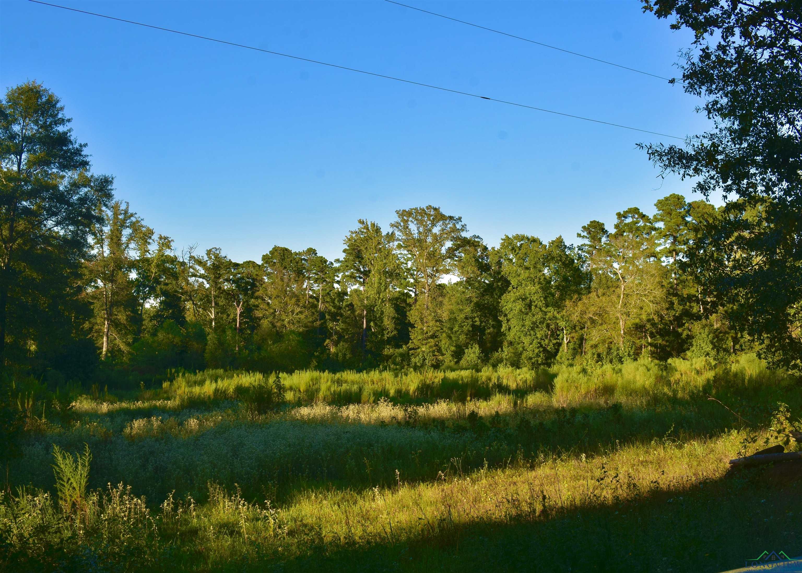 TBD Noonday Rd, Hallsville, Texas image 8