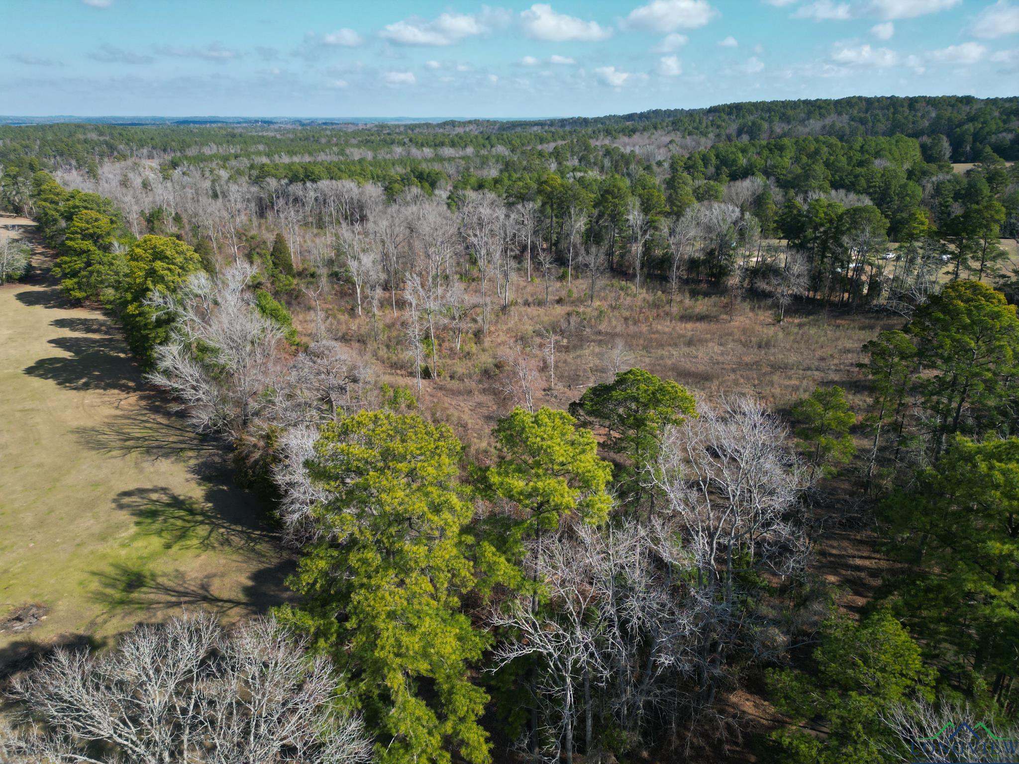 TBD Noonday Rd, Hallsville, Texas image 10