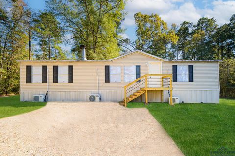 A home in Ore City