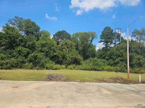 Vacant Land For Sale - TBD NE Loop<br/> Carthage, TX 75633