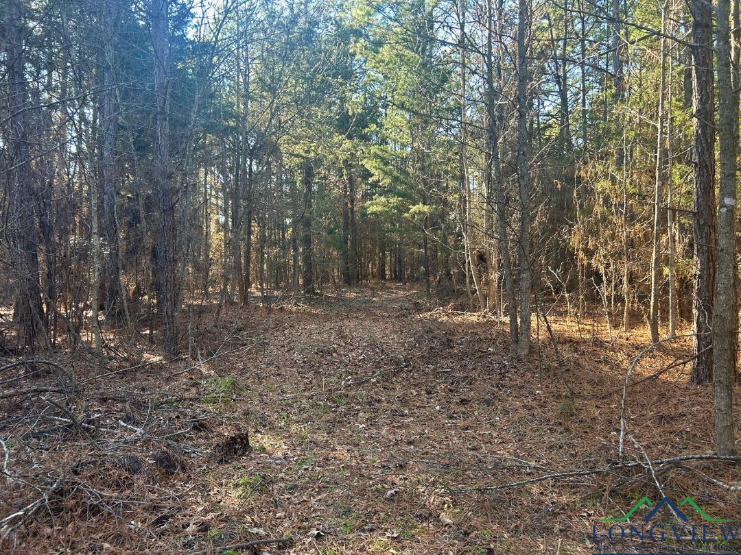 TBD Cr 1890, Bivins, Texas image 9