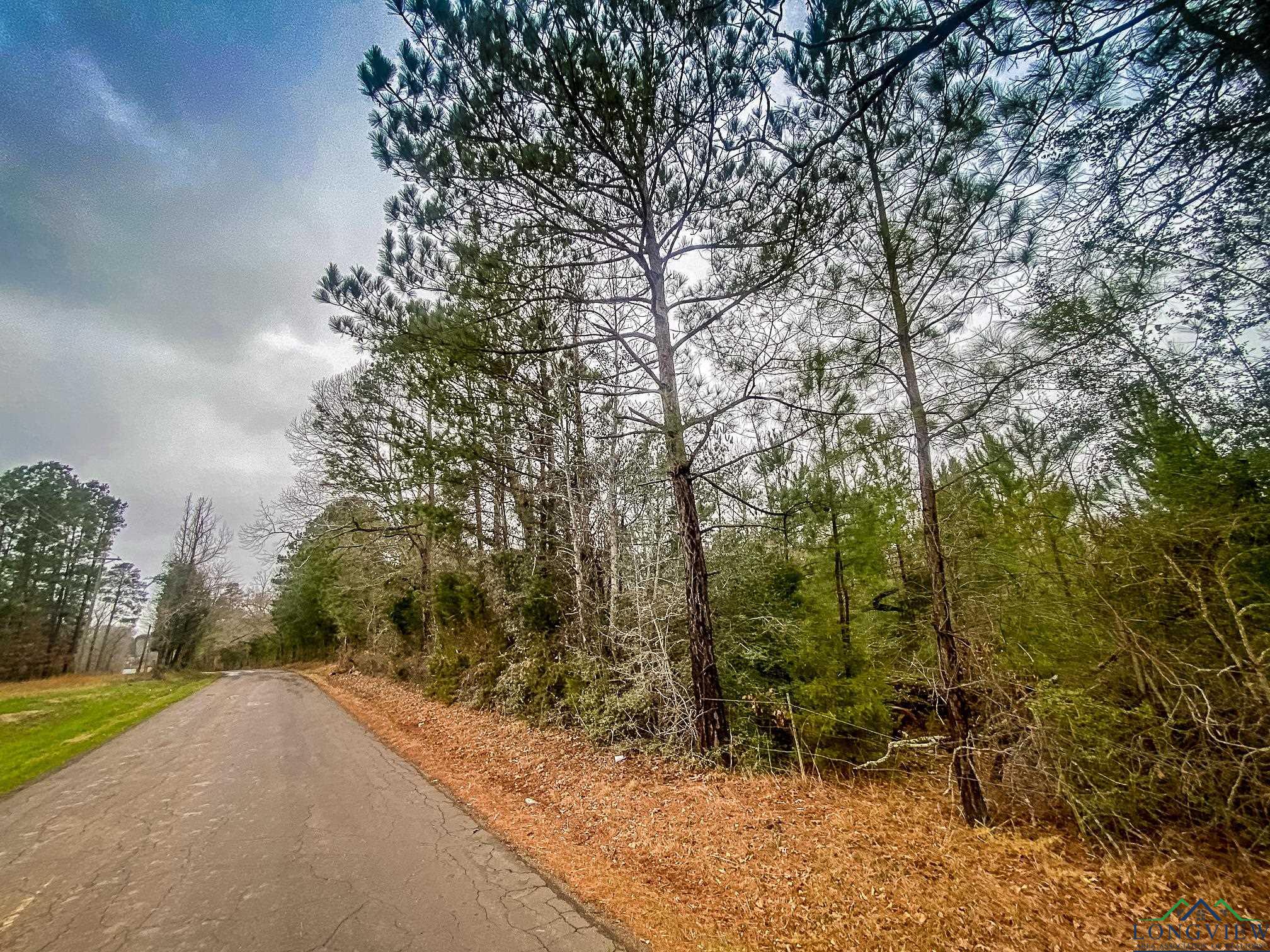 LOT 1 Maple Springs Rd, Hallsville, Texas image 8