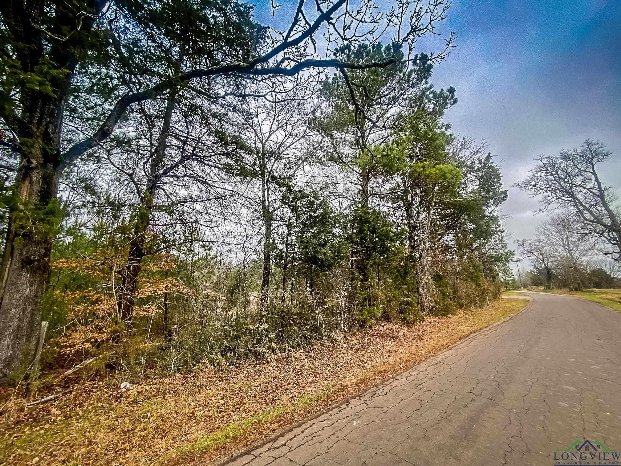 LOT 1 Maple Springs Rd, Hallsville, Texas image 7