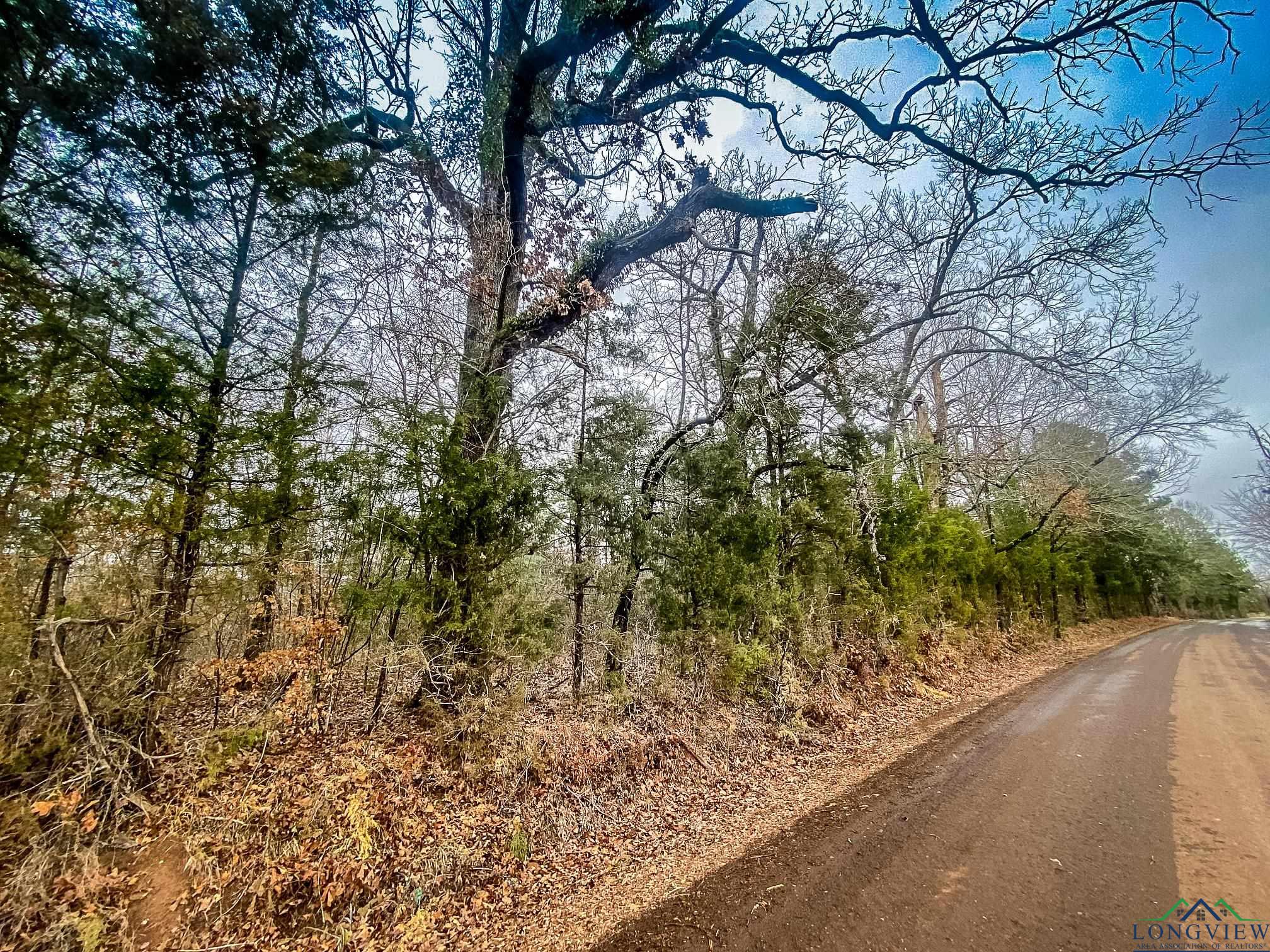 LOT 1 Maple Springs Rd, Hallsville, Texas image 12