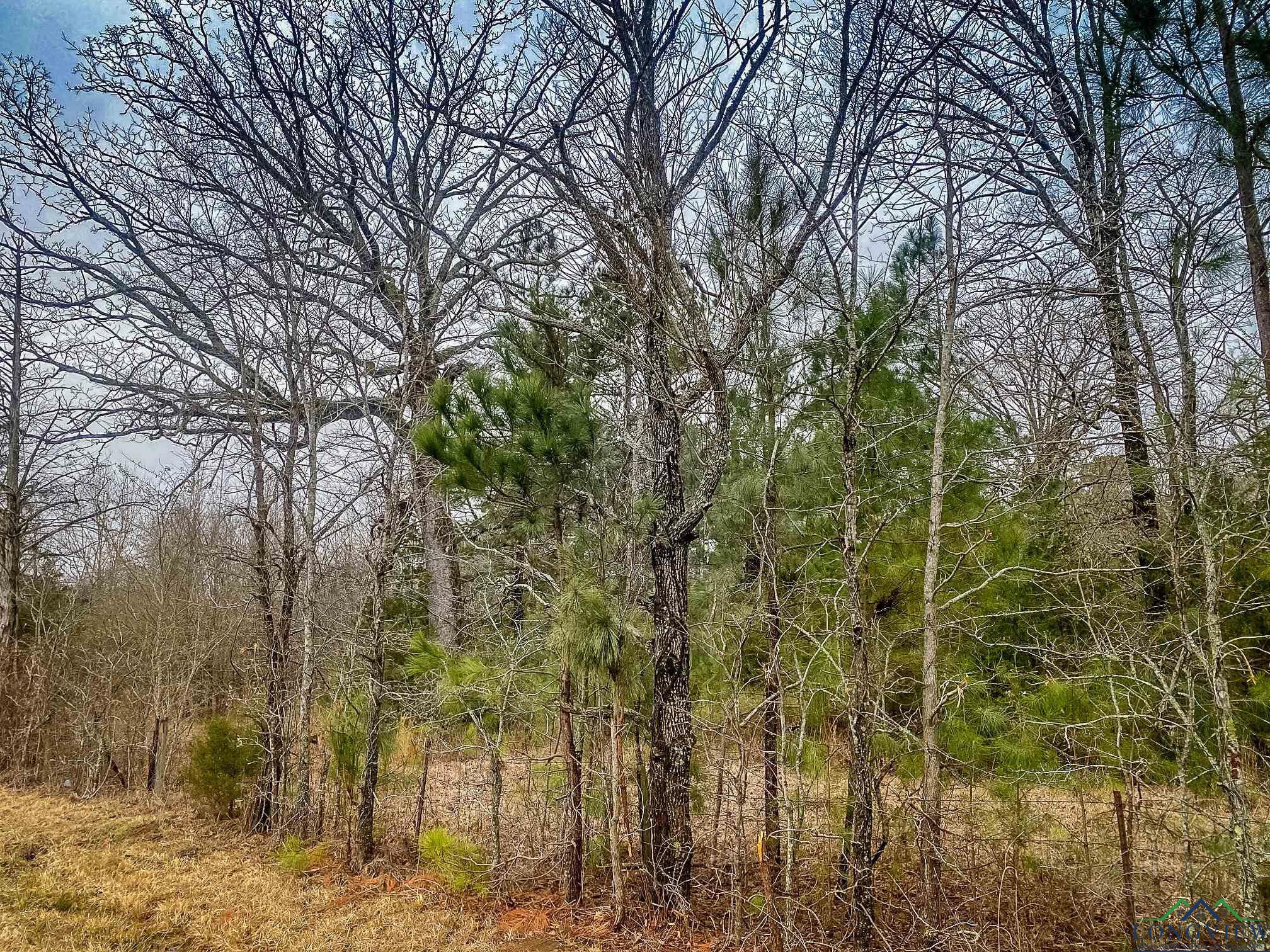 LOT 1 Maple Springs Rd, Hallsville, Texas image 4