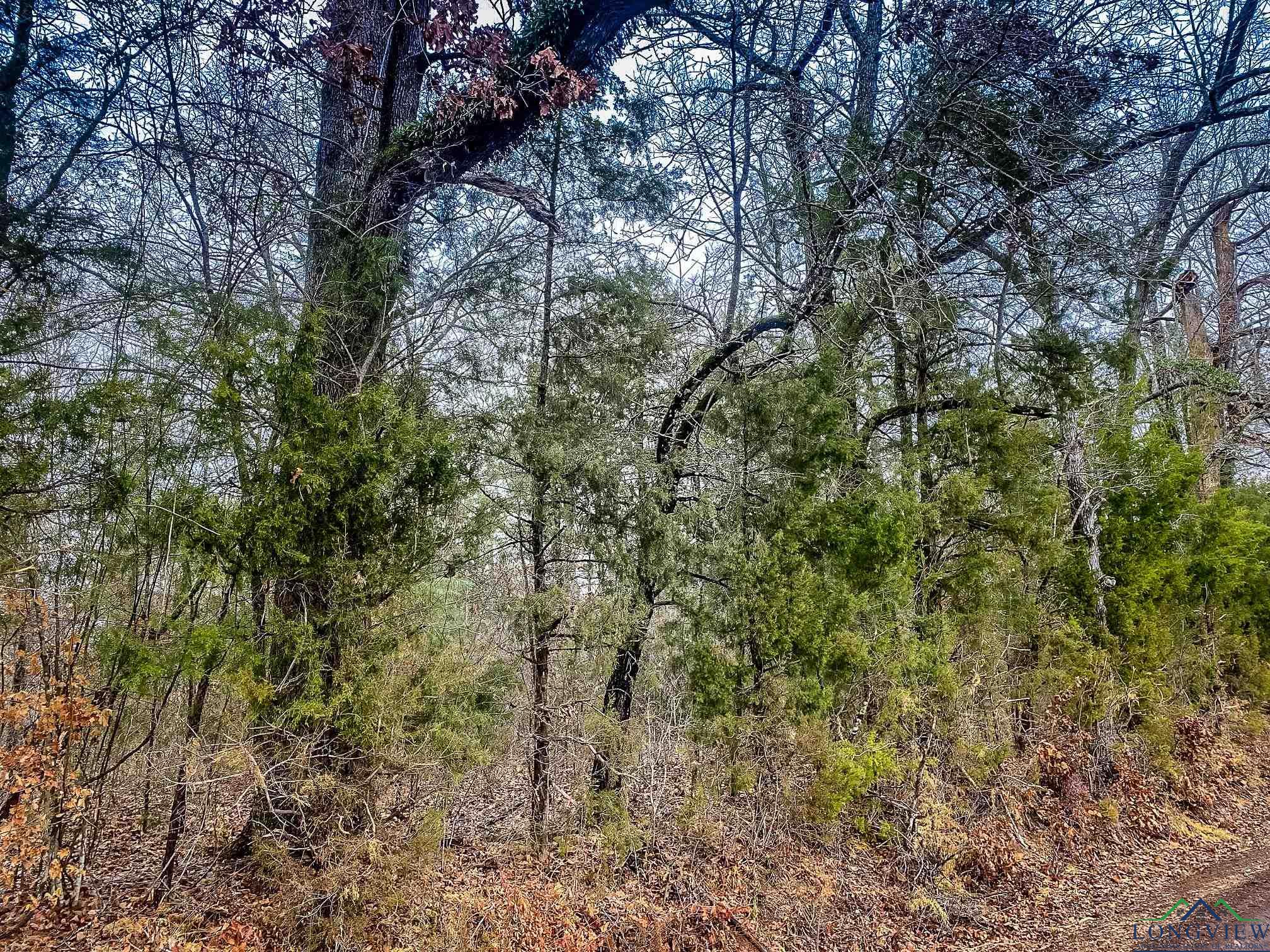 LOT 1 Maple Springs Rd, Hallsville, Texas image 11
