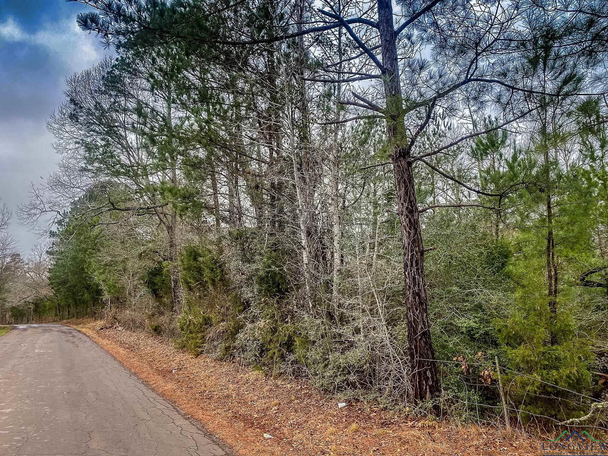 LOT 1 Maple Springs Rd, Hallsville, Texas image 9
