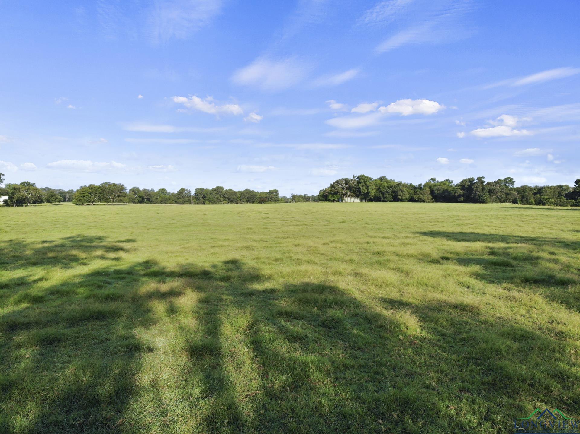 11047 Turtle Circle, Pittsburg, Texas image 9