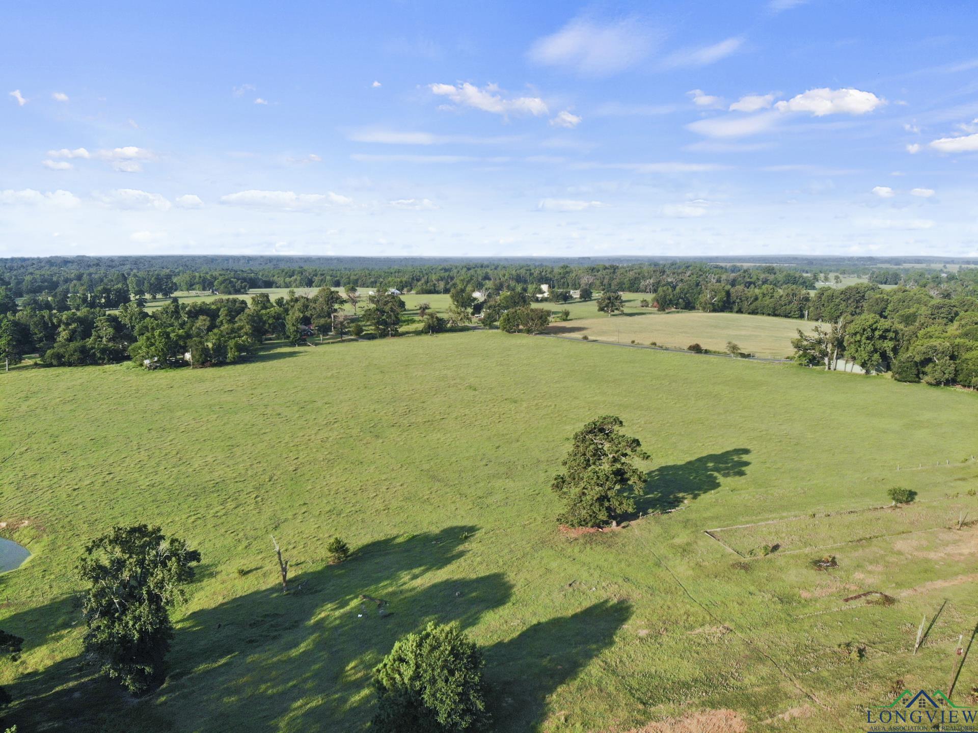 11047 Turtle Circle, Pittsburg, Texas image 10