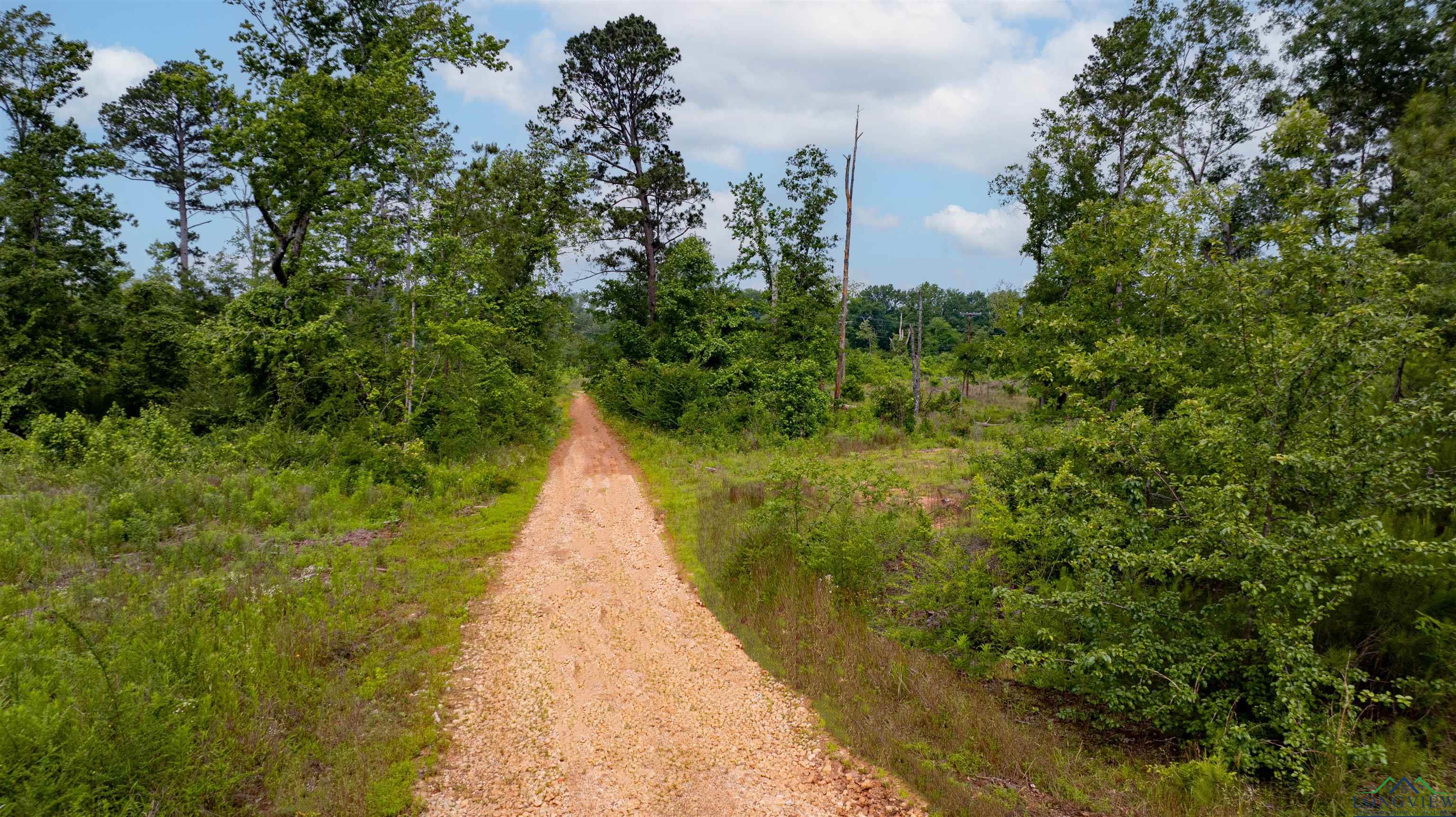 1061 Watson Rd, Kilgore, Texas image 16