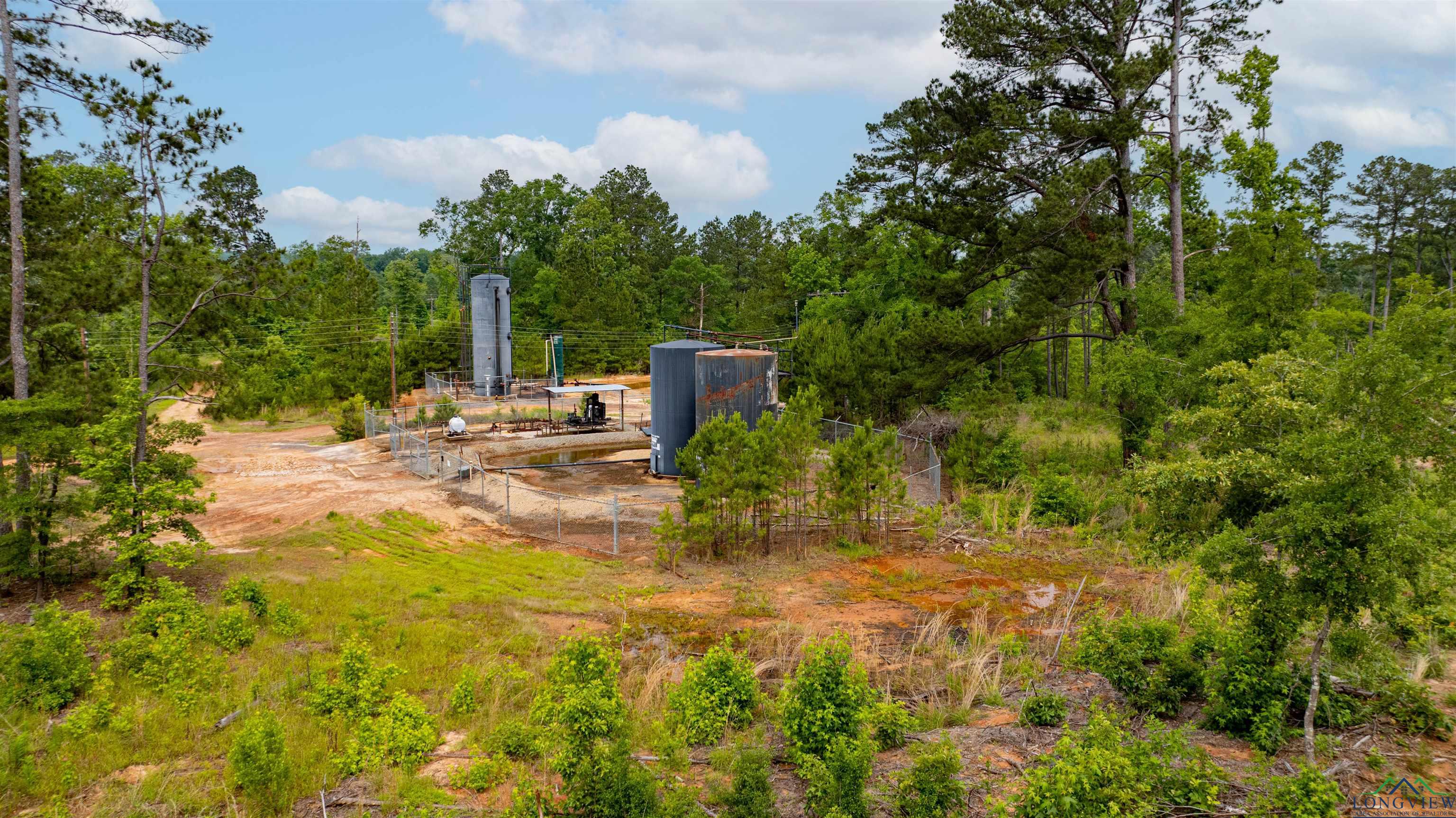 1061 Watson Rd, Kilgore, Texas image 17