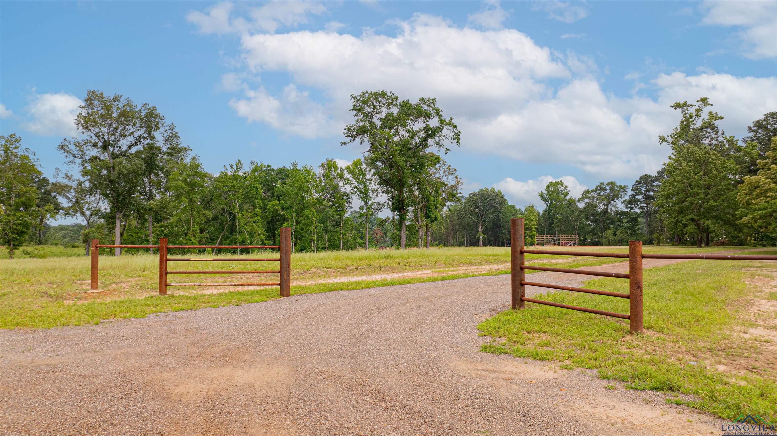 1061 Watson Rd, Kilgore, Texas image 1