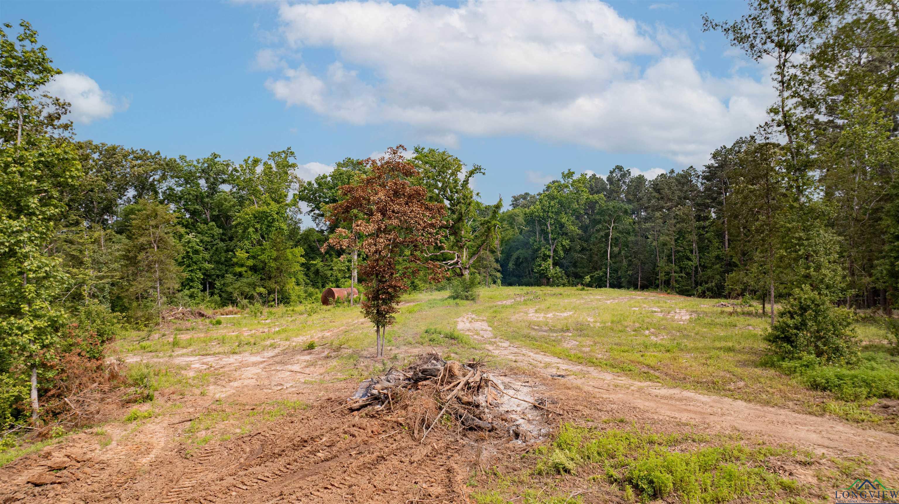 1061 Watson Rd, Kilgore, Texas image 13