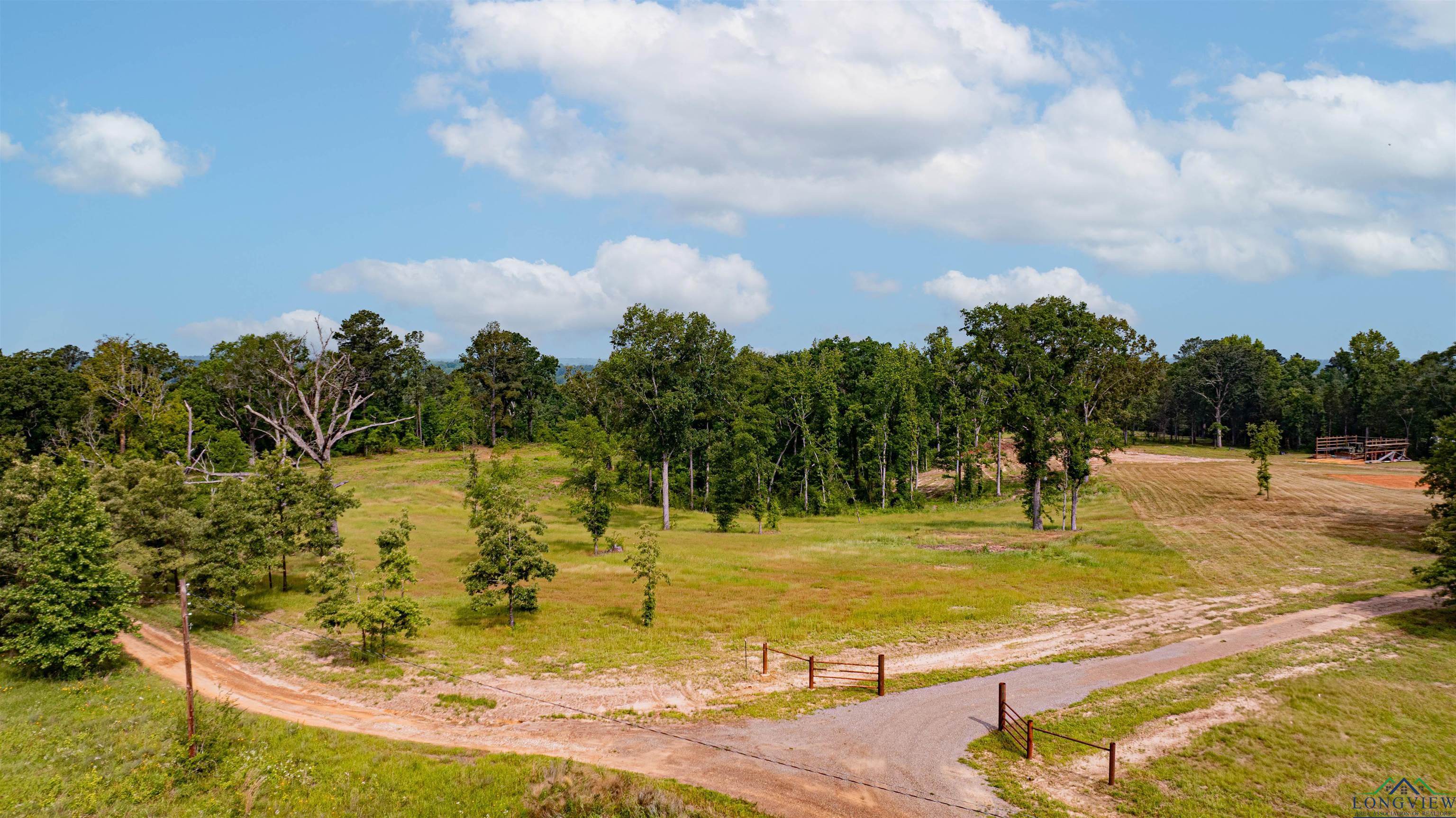 1061 Watson Rd, Kilgore, Texas image 12