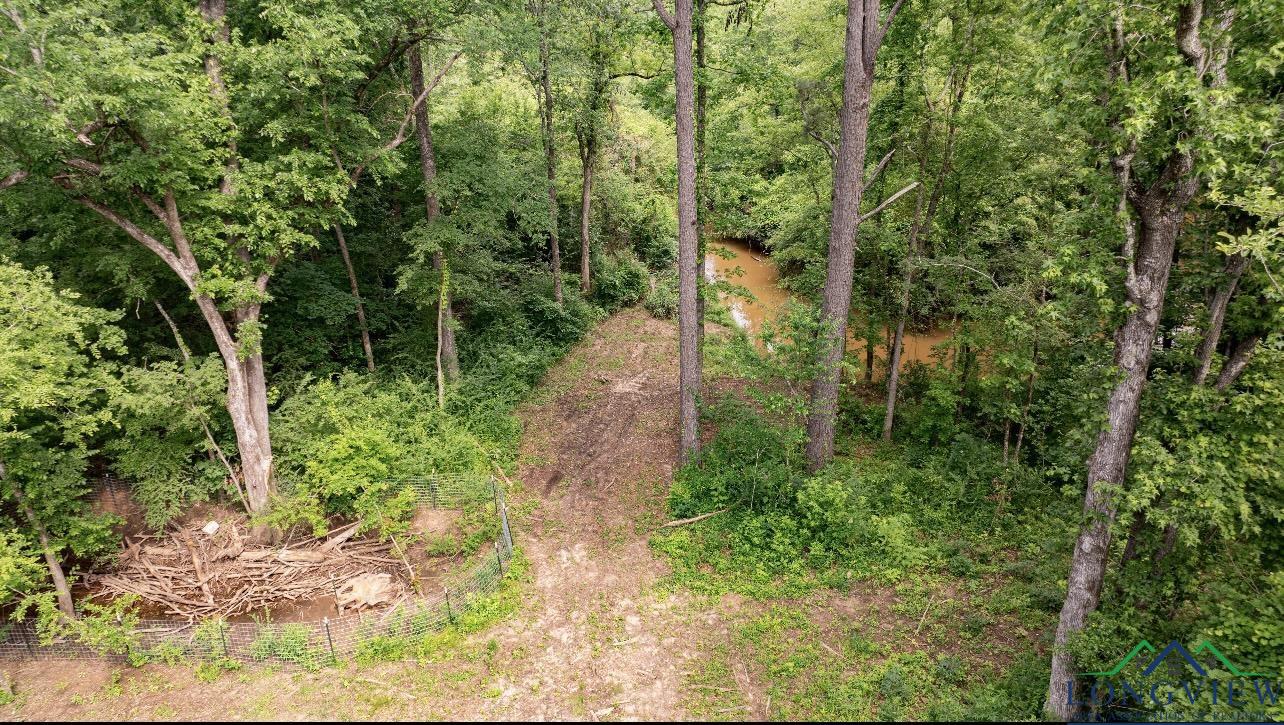 1061 Watson Rd, Kilgore, Texas image 6