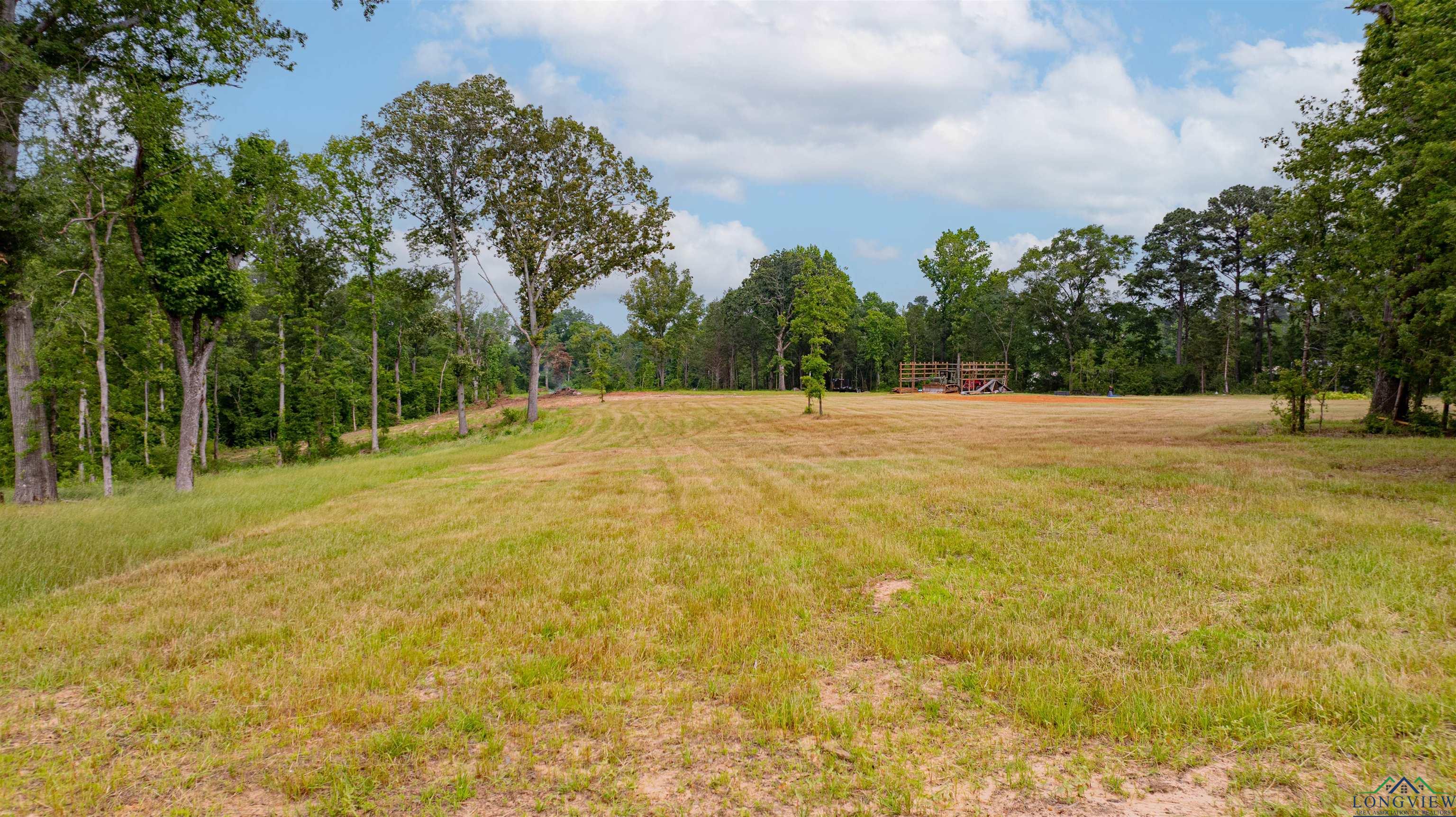 1061 Watson Rd, Kilgore, Texas image 15
