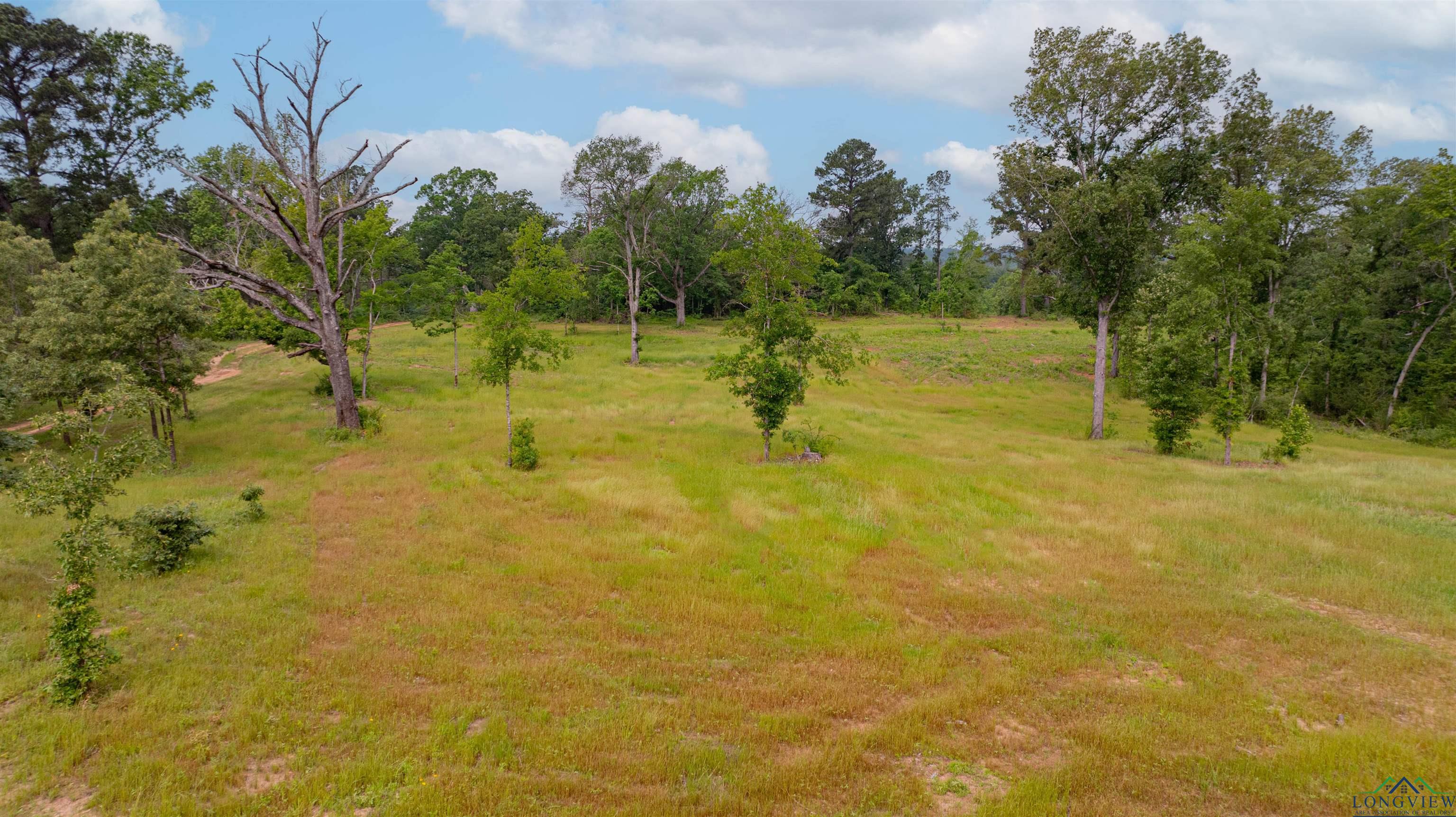 1061 Watson Rd, Kilgore, Texas image 4