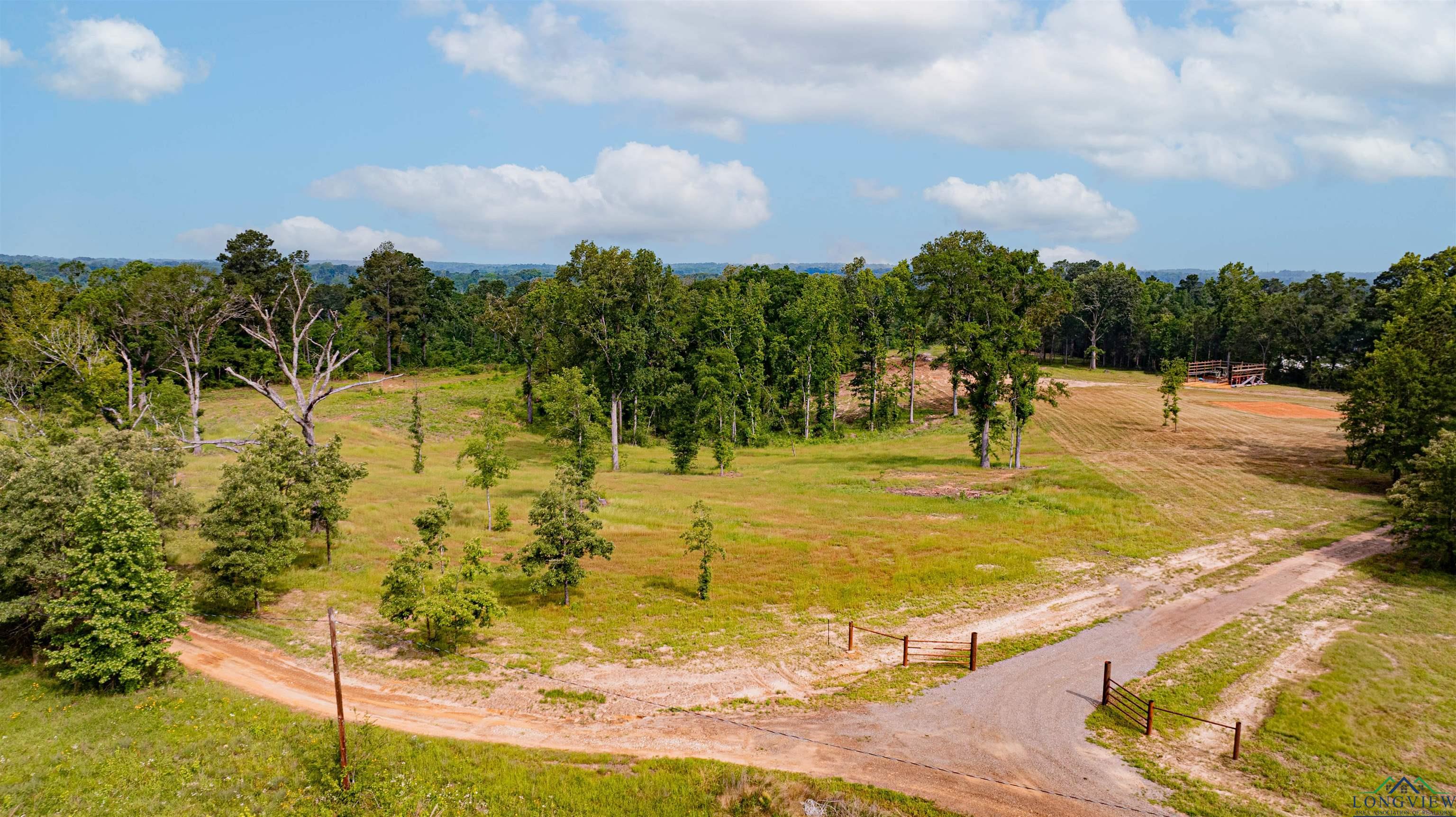 1061 Watson Rd, Kilgore, Texas image 2