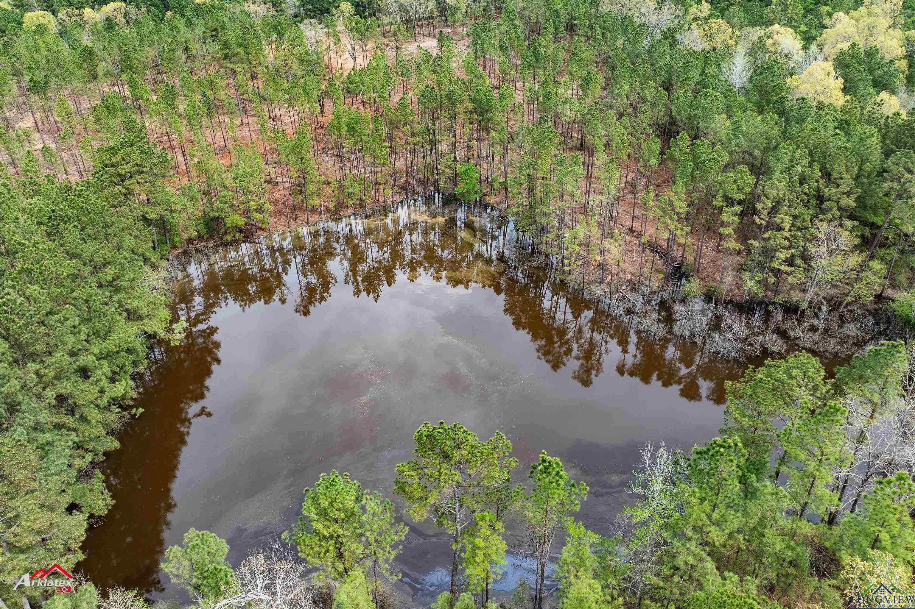 TBD E Fm 1797, Tatum, Texas image 9