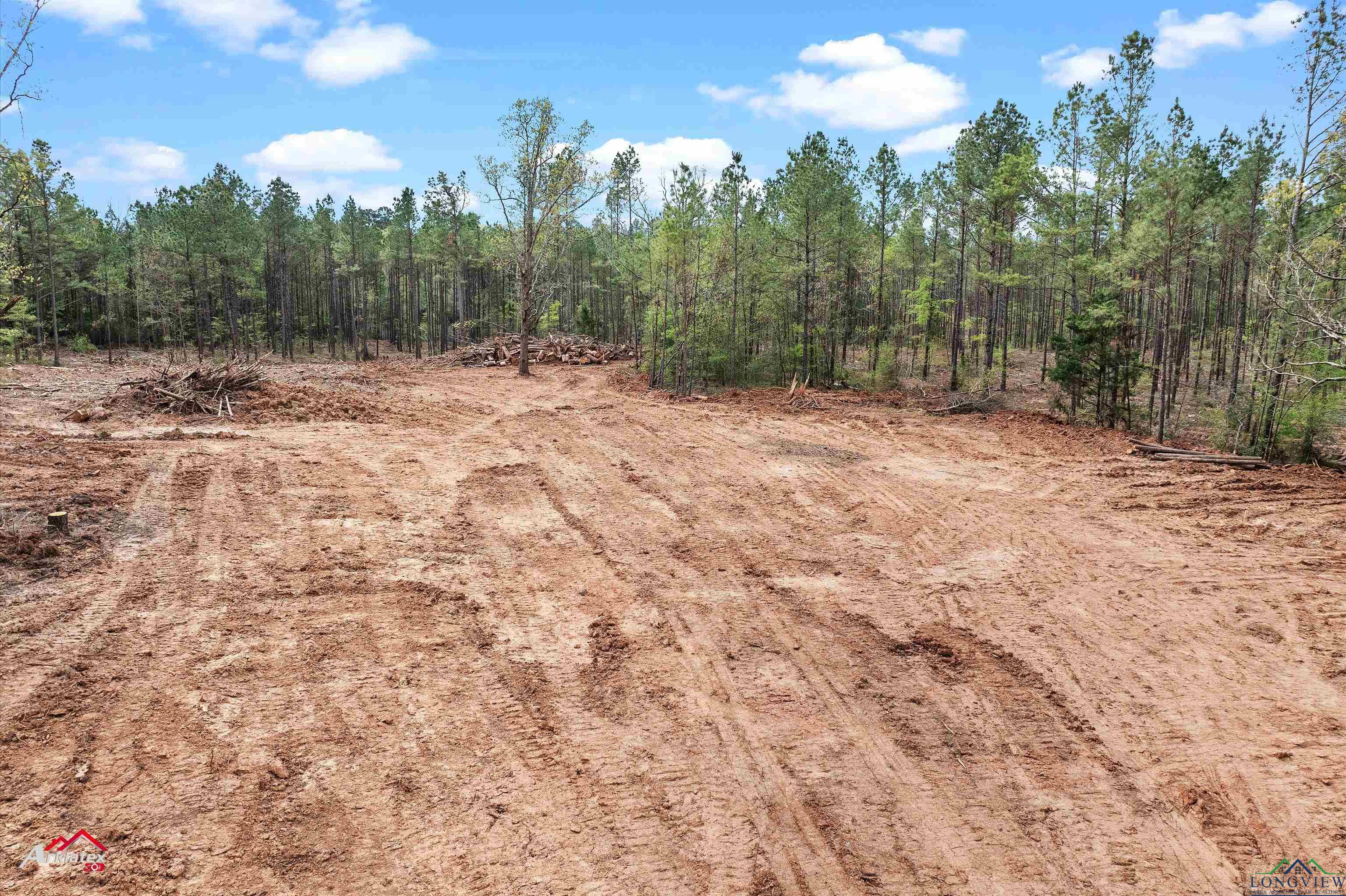 TBD E Fm 1797, Tatum, Texas image 11