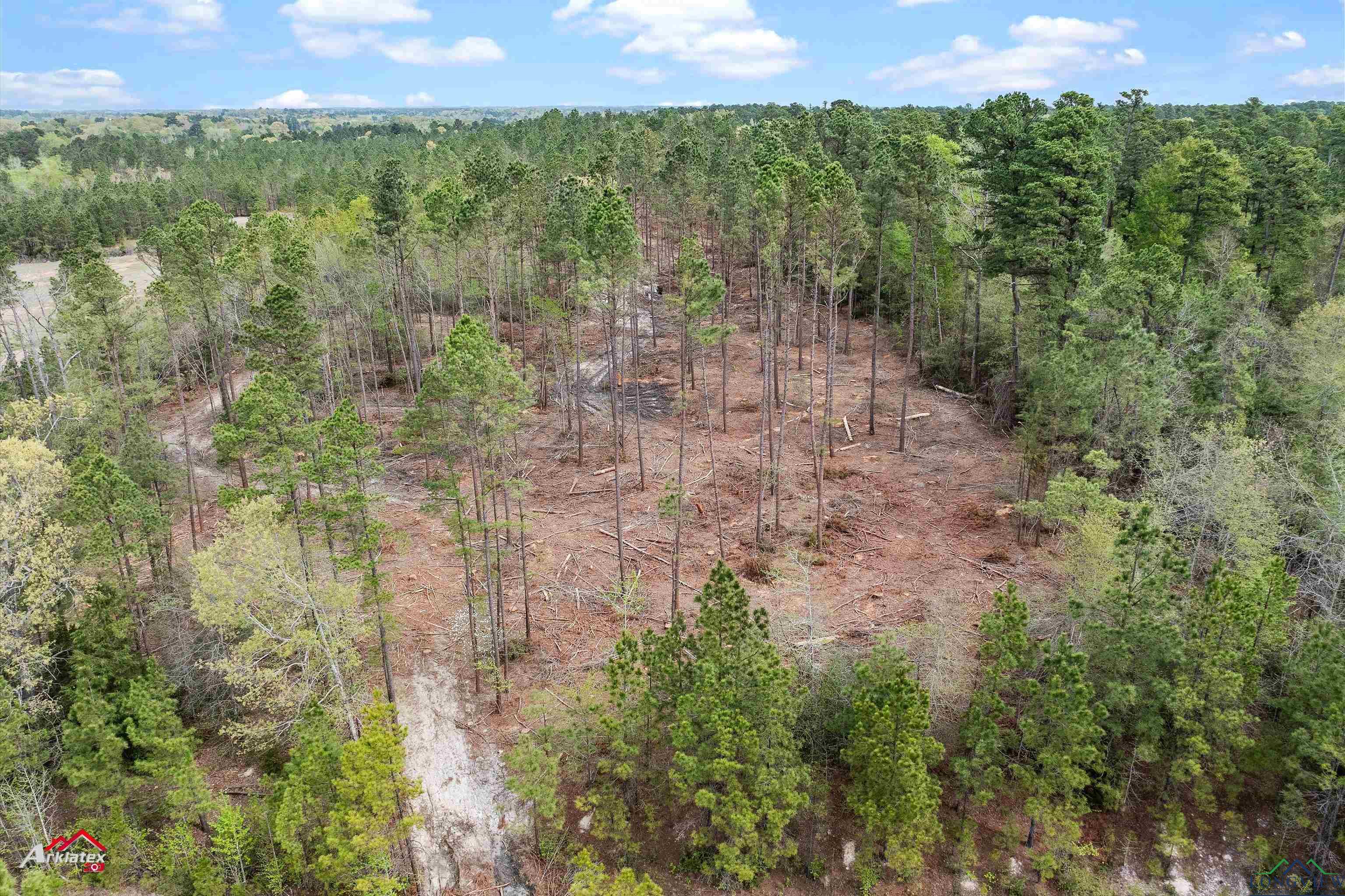 TBD E Fm 1797, Tatum, Texas image 1