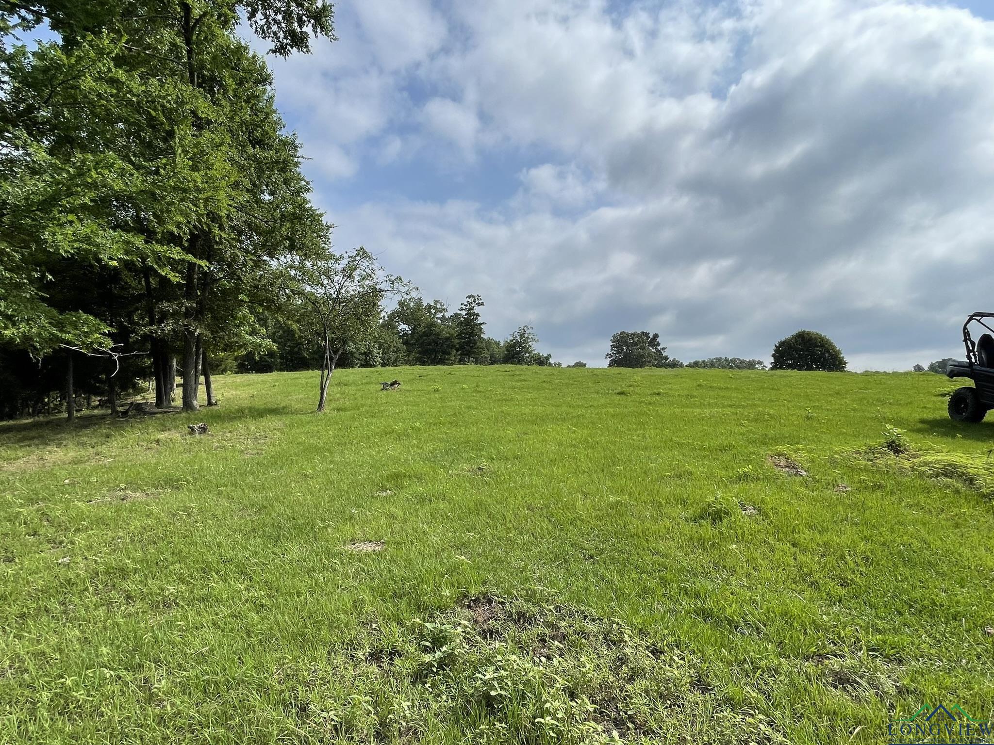 5897 Fm 2796, Gilmer, Texas image 49