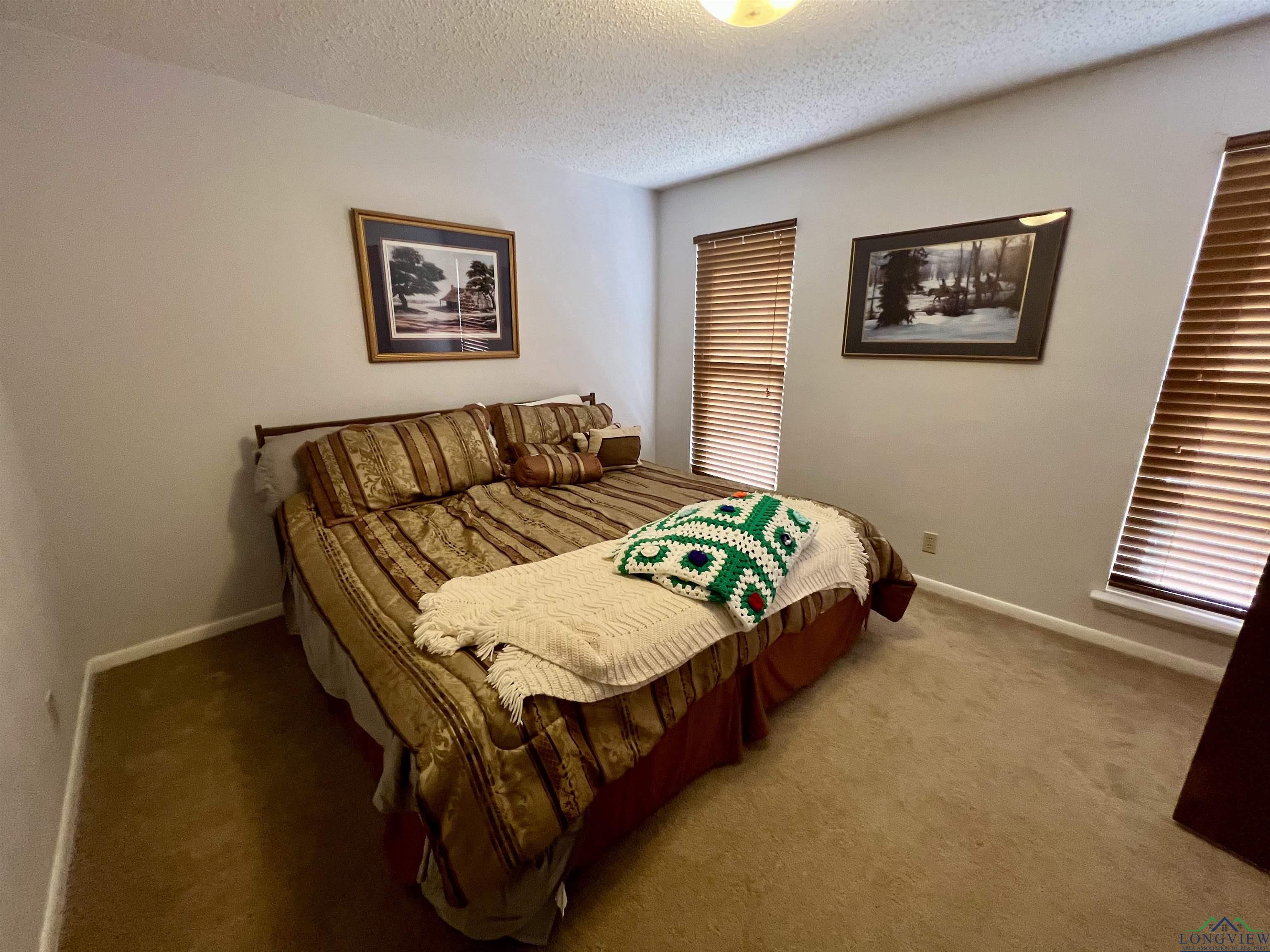 14851 W Fm 2796 Avenue, Pittsburg, Texas image 20