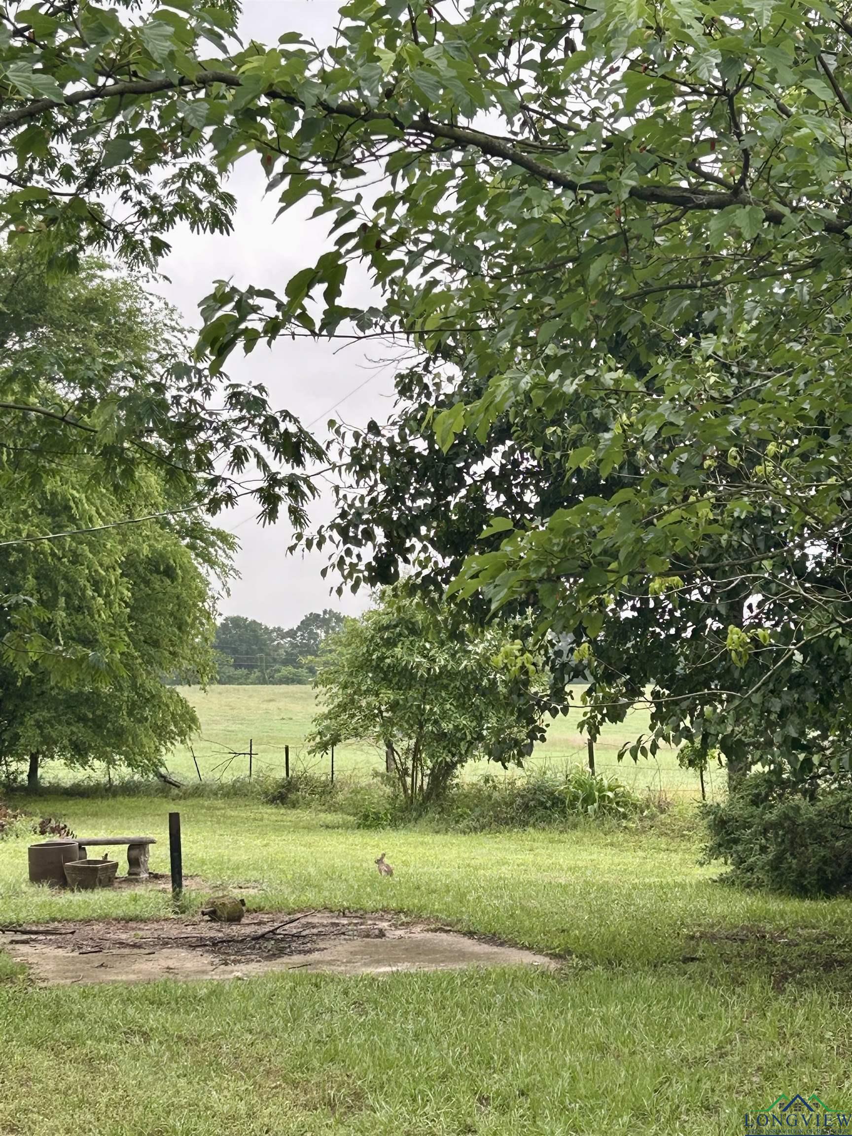 147 Chestnut Rd, Big Sandy, Texas image 14