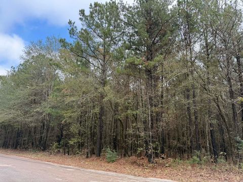 Vacant Land For Sale - TBD Holiday Harbor Drive<br/> Marion County, Jefferson, TX 75657