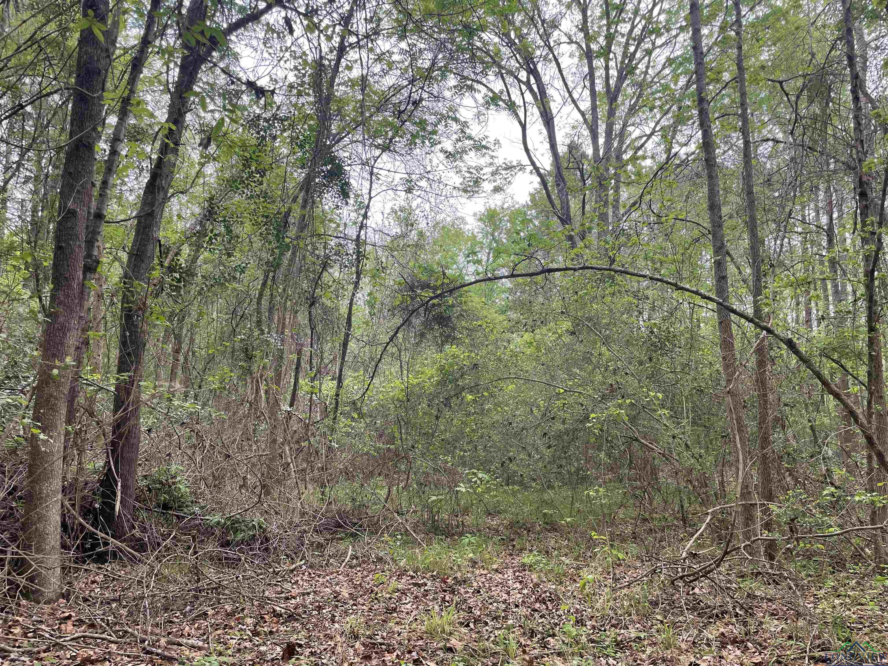 TBD Red Oak Rd, Marshall, Texas image 8