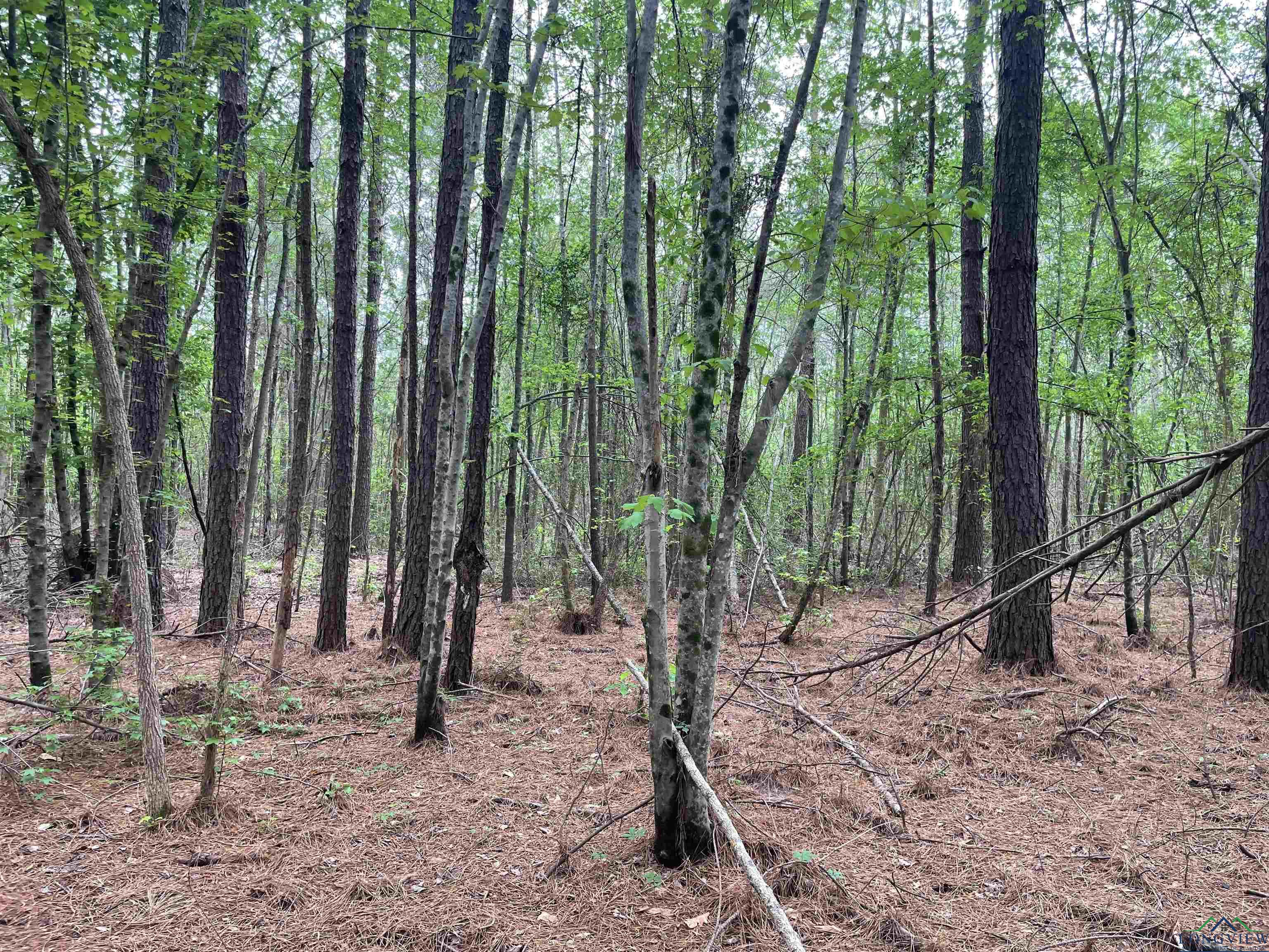 TBD Red Oak Rd, Marshall, Texas image 7