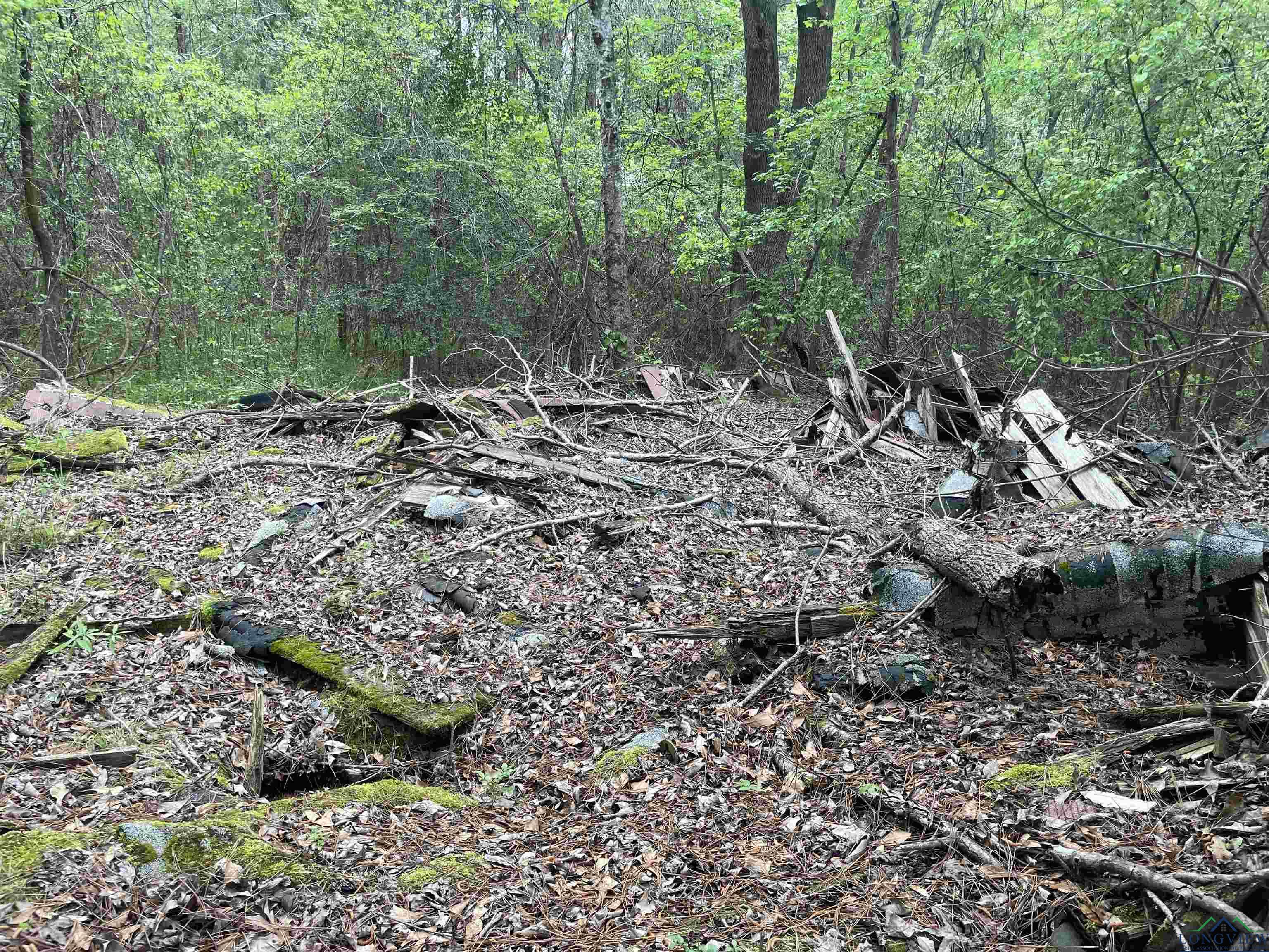 TBD Red Oak Rd, Marshall, Texas image 4