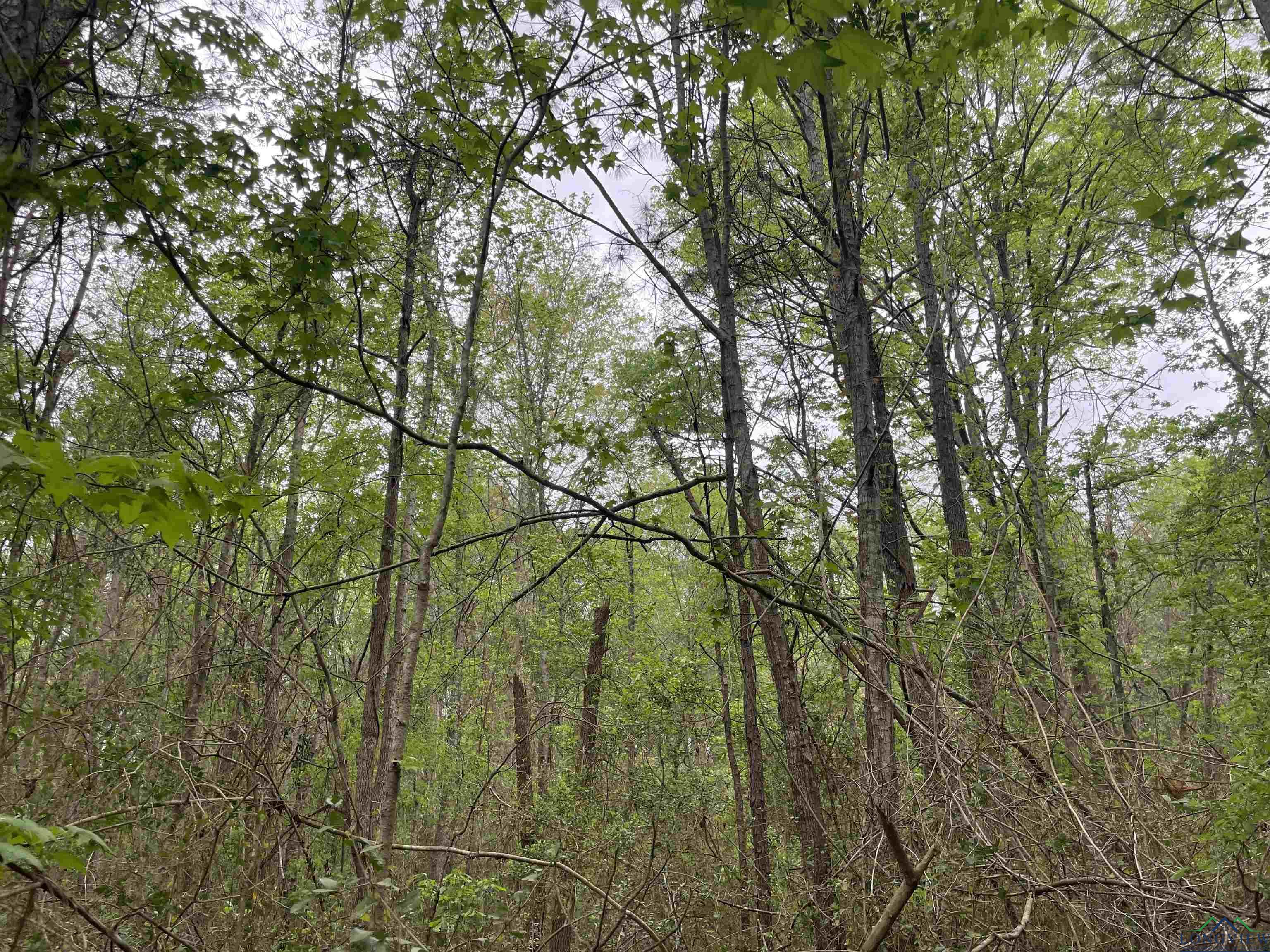 TBD Red Oak Rd, Marshall, Texas image 6