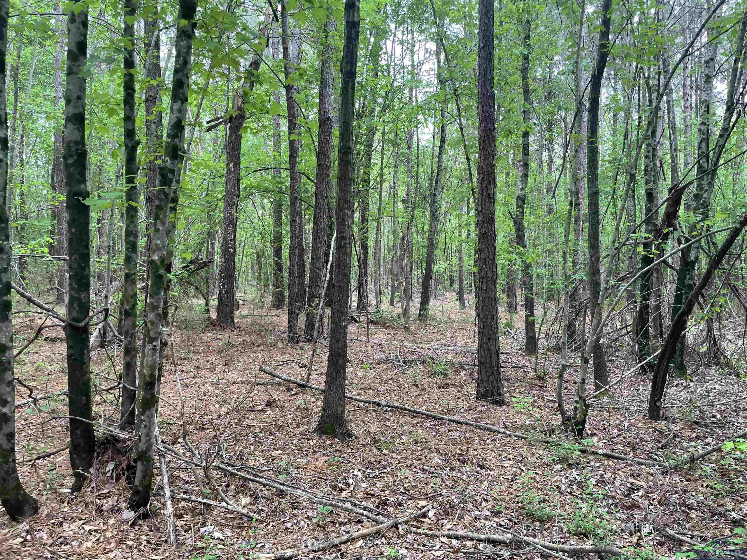 TBD Red Oak Rd, Marshall, Texas image 1