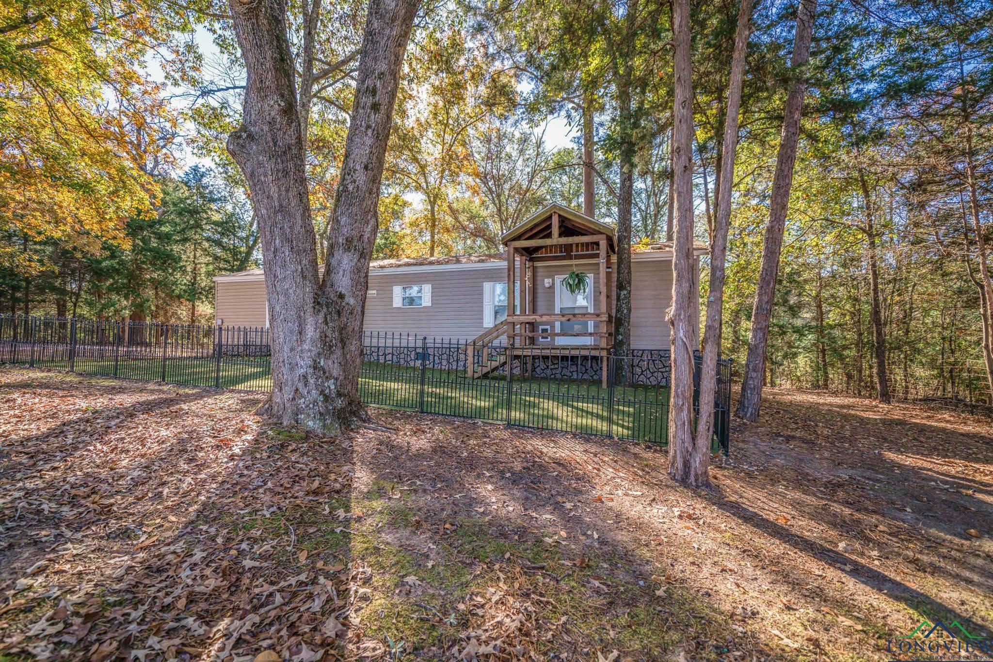 1232 County Road 4750, Winnsboro, Texas image 1