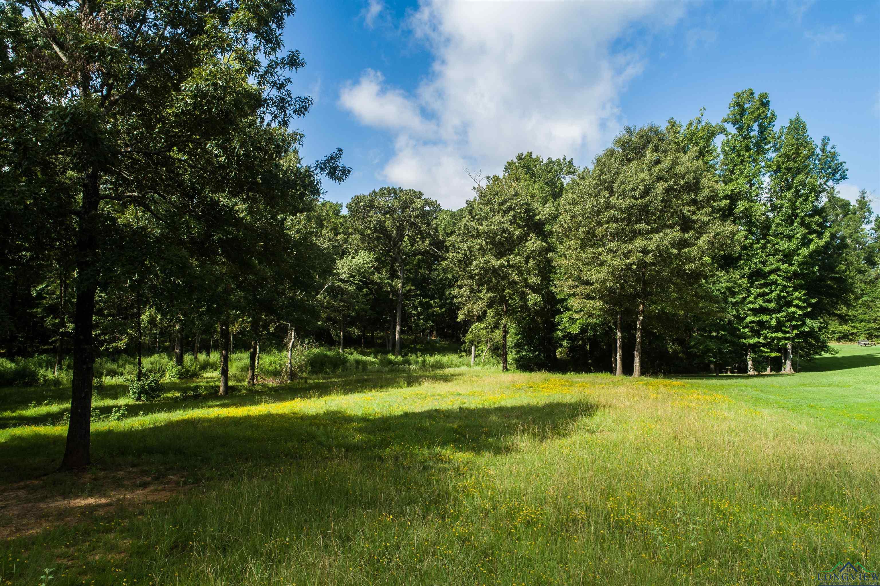 TBD Fox Glove Ln, Longview, Texas image 8