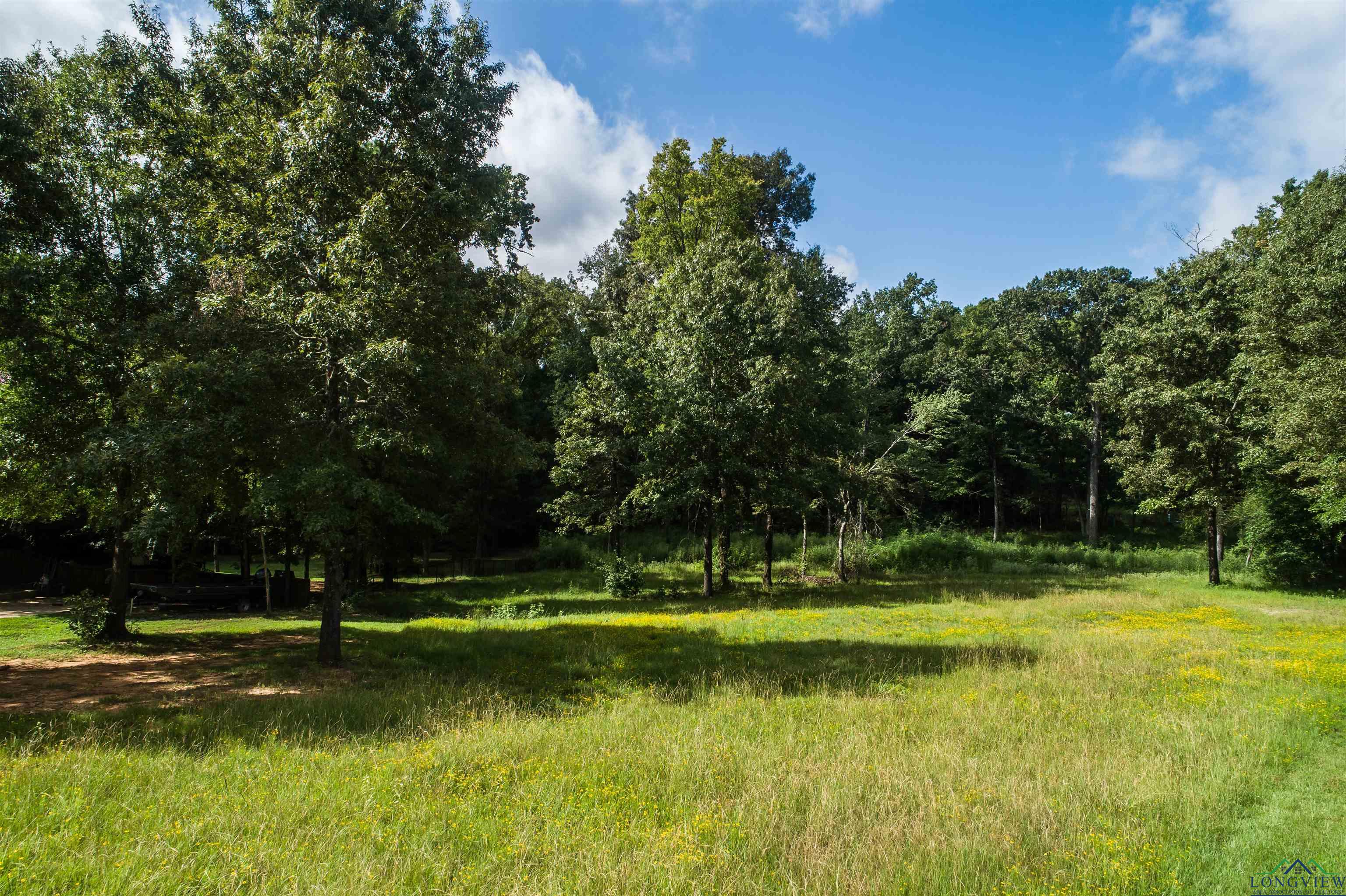 TBD Fox Glove Ln, Longview, Texas image 10