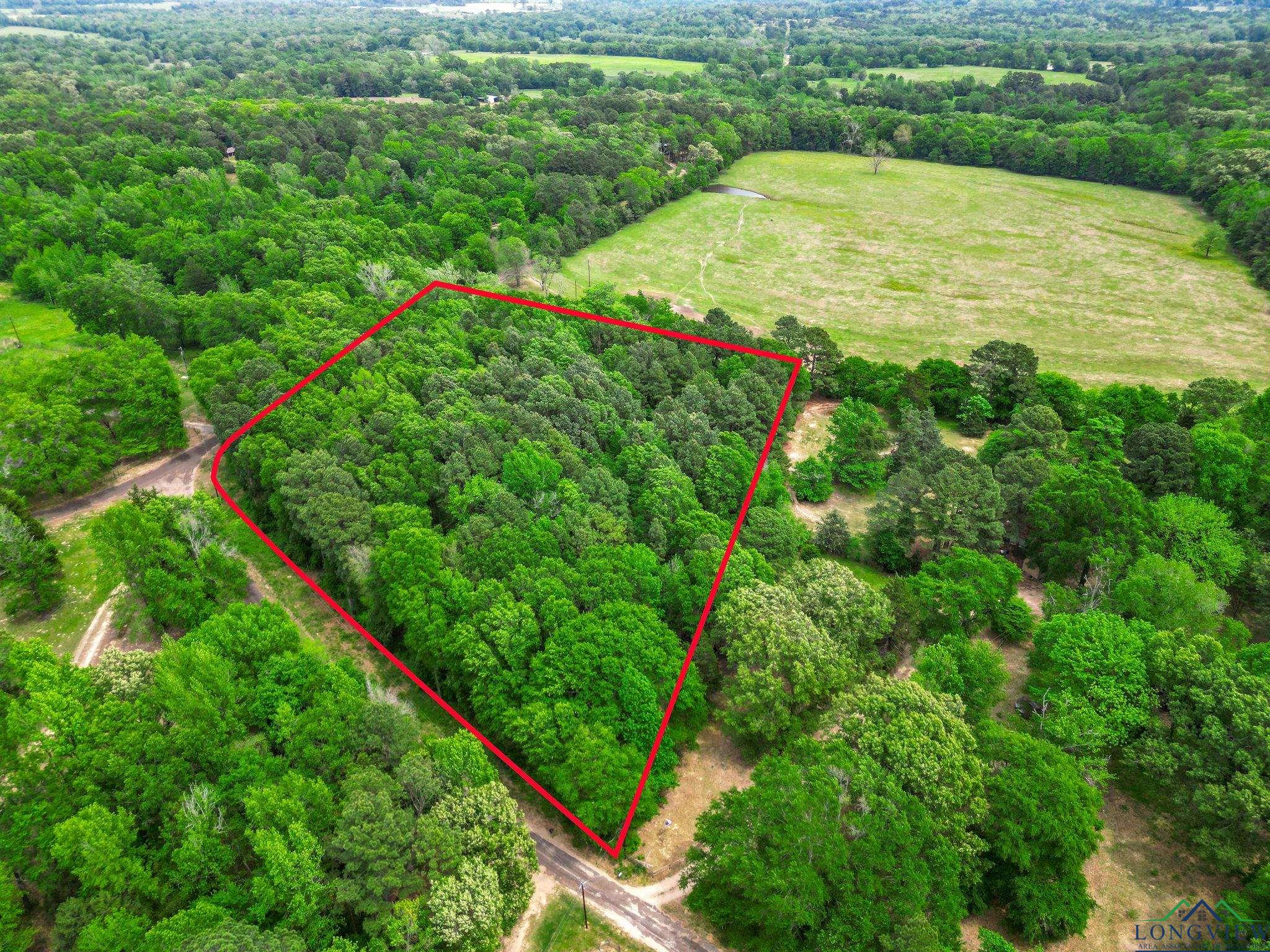 TBD Giraffe Rd, Gilmer, Texas image 1