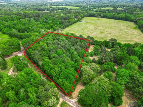 Homes For Sale - TBD Giraffe Rd<br/> Gilmer, TX 75644